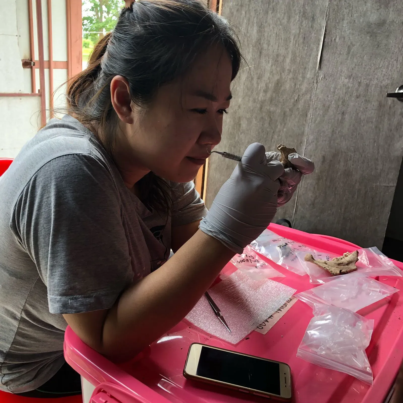 عالم آثار يجري تحليلًا علميًا على عينة من لويحات الأسنان في موقع أثري بتايلاند، للكشف عن آثار جوز التنبول.