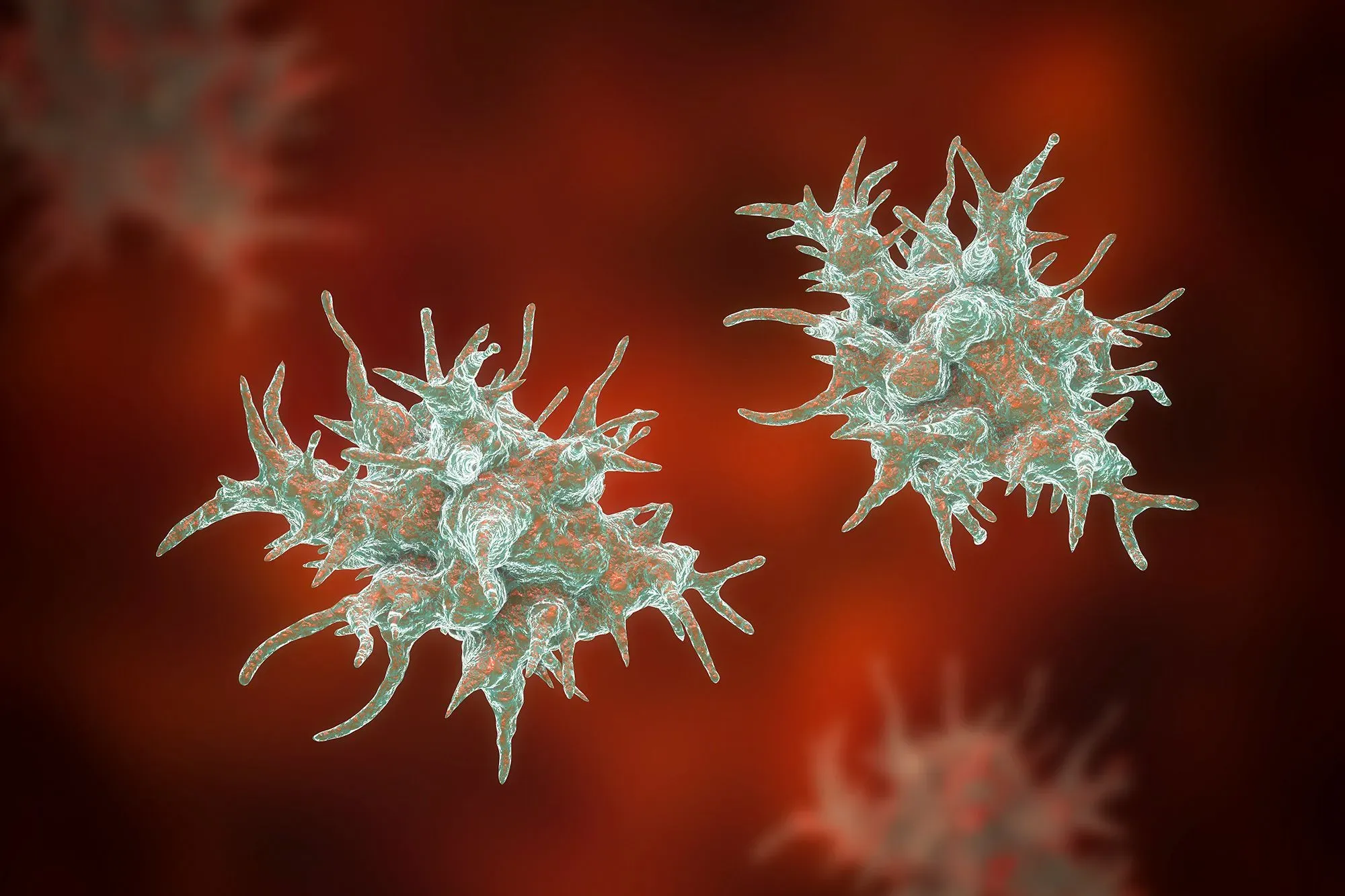 صورة توضح كائنات أكانتامويبا وحيدة الخلية، التي تسبب التهاب القرنية الشوكميبا، وهو مرض نادر يؤثر على الرؤية.