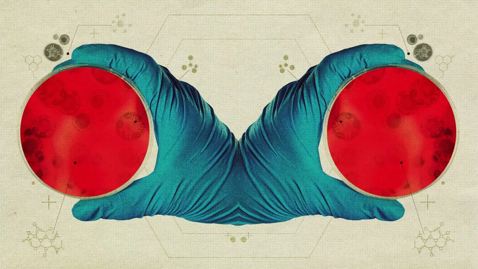 يد تظهر قنينة بتري حمراء تحتوي على مستعمرات ميكروبية، مما يبرز الأبحاث حول الخلايا المرآتية وتأثيراتها المحتملة على الحياة.