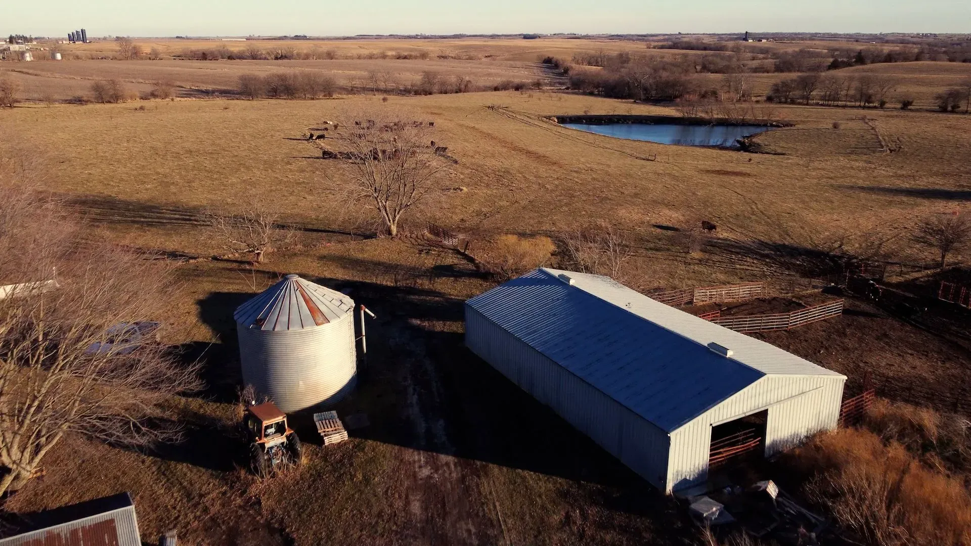 مزرعة إيبرسول في أيوا، تظهر الأبقار ترعى في مرعى واسع مع حظائر معدنية، تعكس الحياة الريفية والتحديات السياسية الحالية.