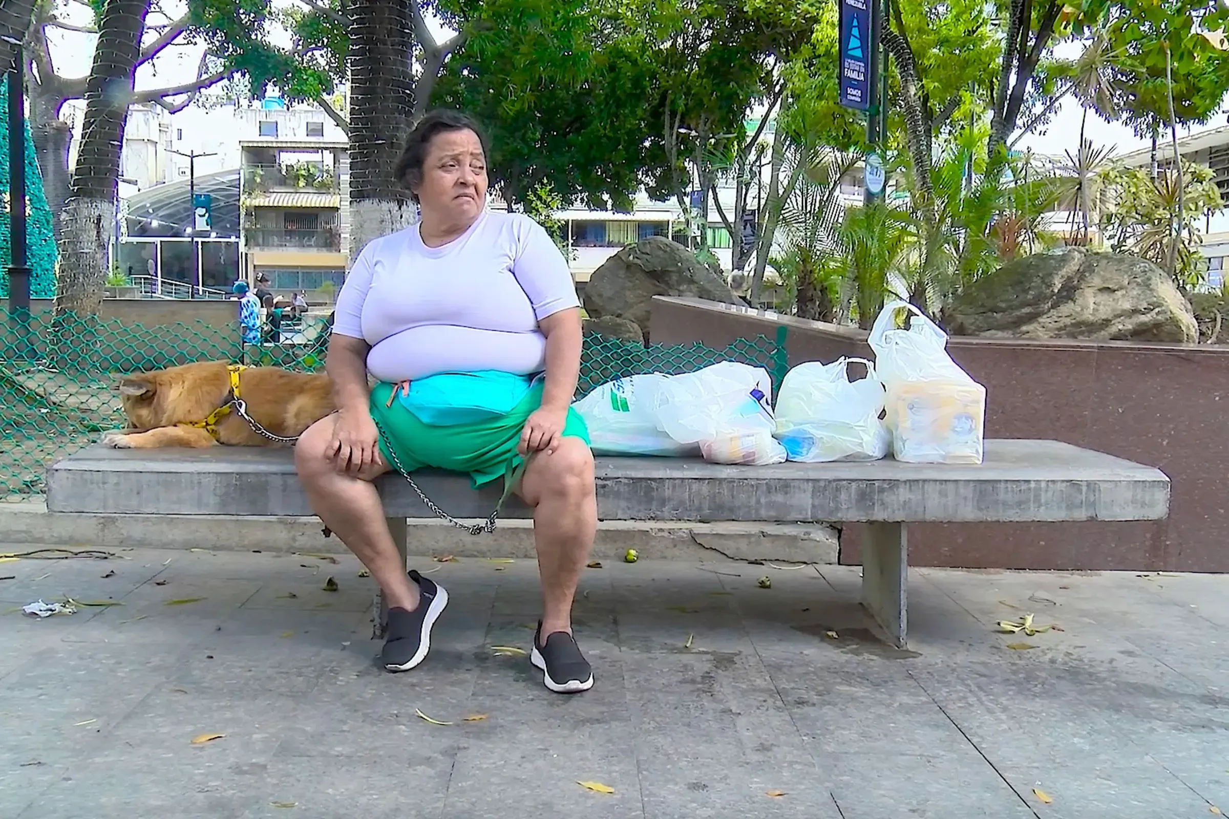 امرأة تجلس على مقعد في حديقة كاراكاس، بجانب كلبها البرتقالي وأكياس التسوق، تعكس مشاعر القلق بعد القصف الأمريكي.