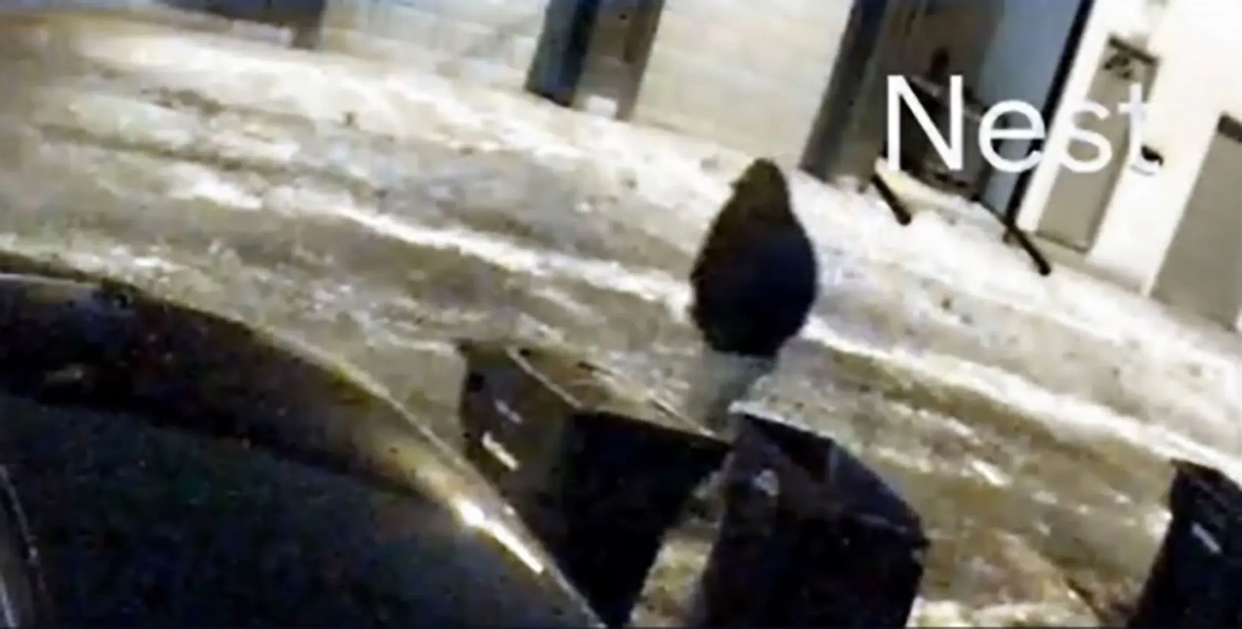 لقطة من كاميرا المراقبة تظهر شخصًا مشتبهًا به يسير في الزقاق بالقرب من منزل الزوجين تيبي في كولومبوس، أوهايو.