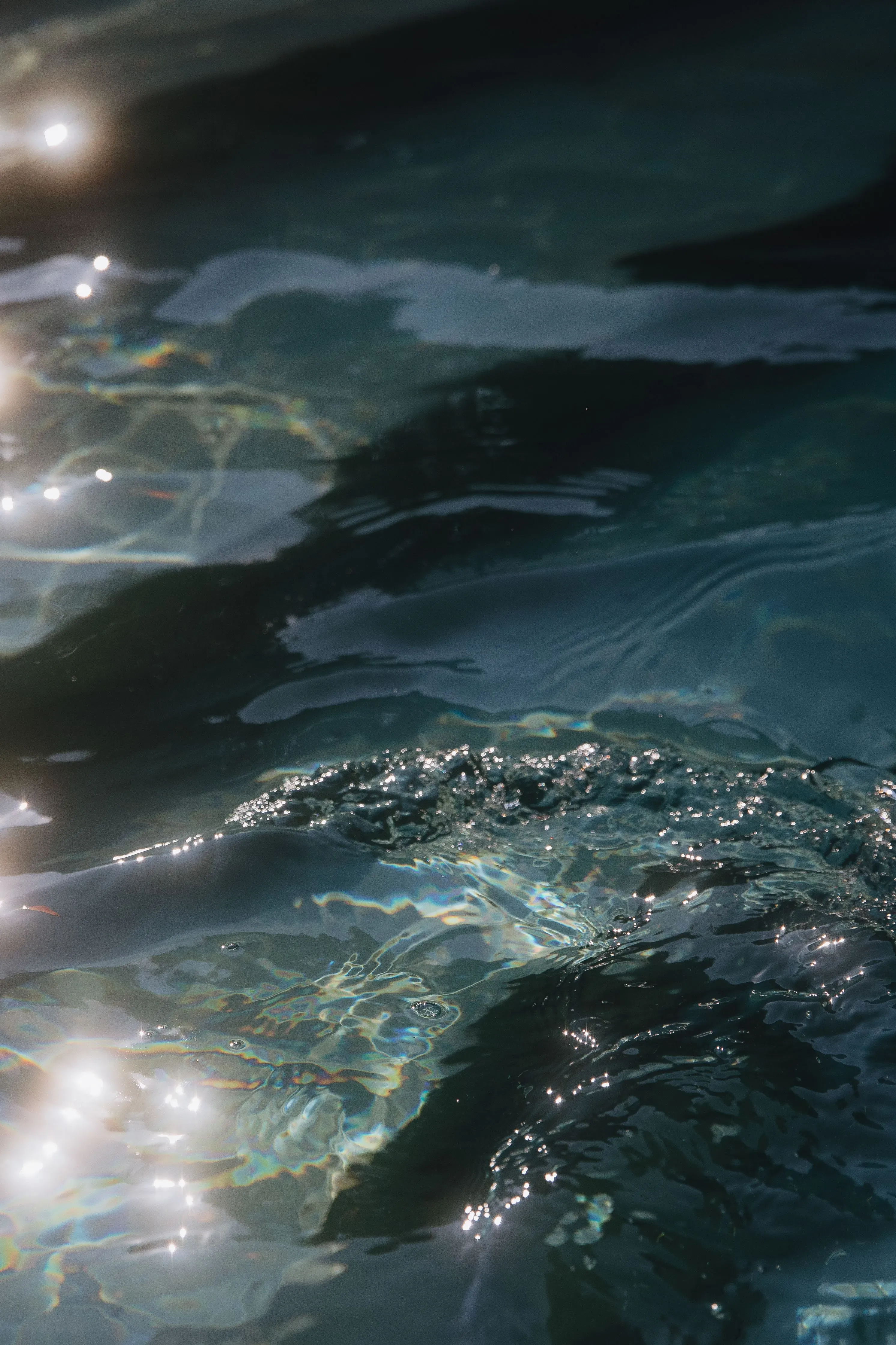 فيبي وأنجيلو، طفلان أمريكيان، يشعران بالحزن والارتباك بعد احتجاز والدتهما من قبل إدارة الهجرة والجمارك.