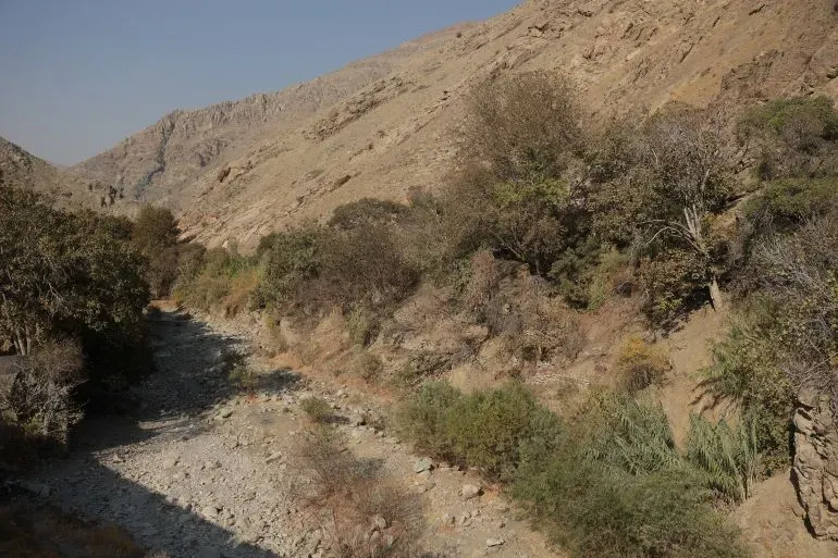 منظر لجفاف شديد في منطقة جبلية في إيران، حيث تظهر الأشجار الجافة والأرض القاحلة، مما يعكس أزمة نقص المياه المتزايدة في البلاد.