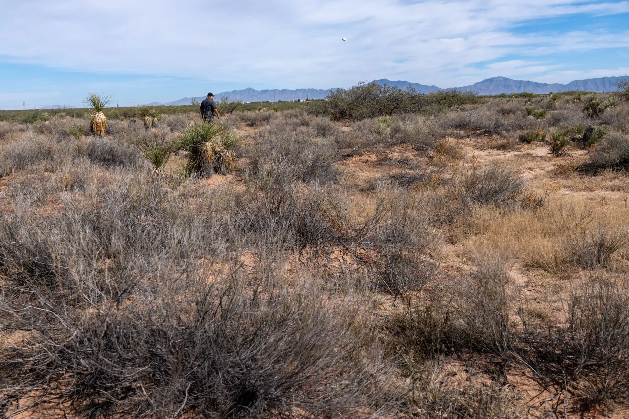 رجل يسير في صحراء نيو مكسيكو، محاط بنباتات جافة وتضاريس قاحلة، مما يعكس بيئة أكاديمية حرس الحدود الأمريكية.