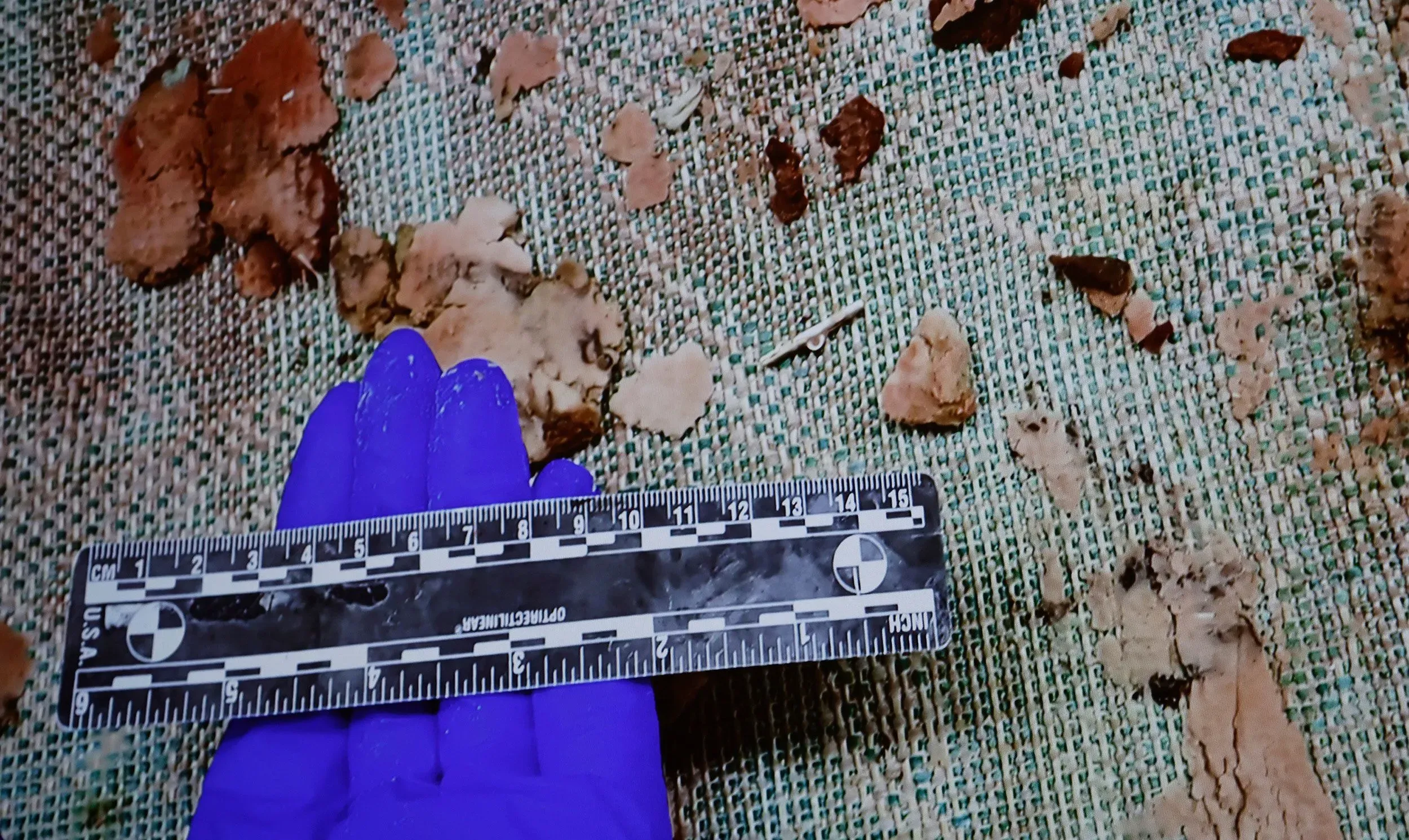 بقايا سجادة ملوثة بالدماء وأدلة أخرى في موقع جريمة قتل آنا والش، مع مسطرة لقياس الأبعاد، تظهر تفاصيل القضية.