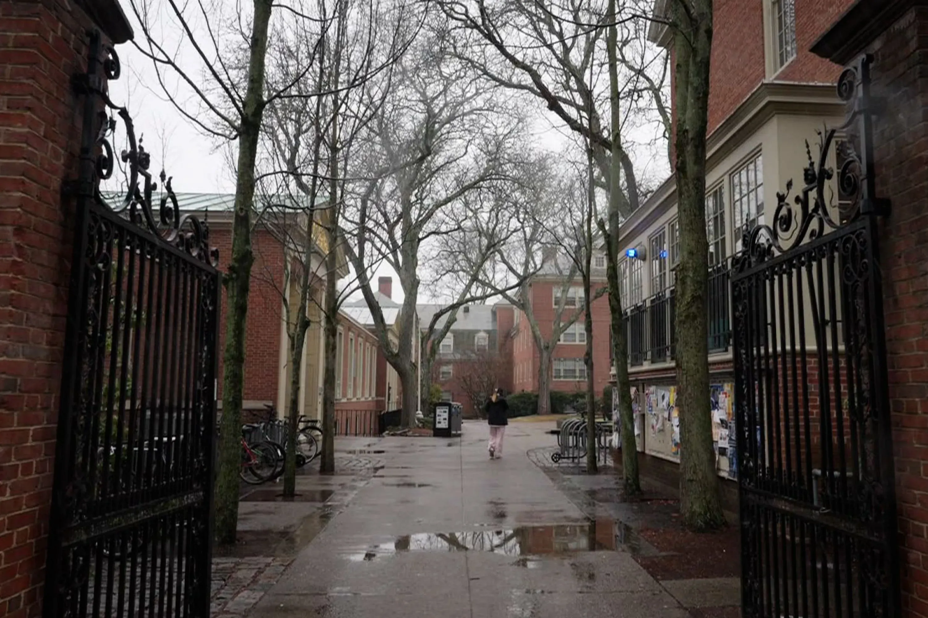 مدخل جامعة براون في يوم غائم، حيث يسير طالب في الممر وسط الأشجار، مع وجود لافتات على الجدران تعكس مشاعر المجتمع بعد حادث إطلاق النار.