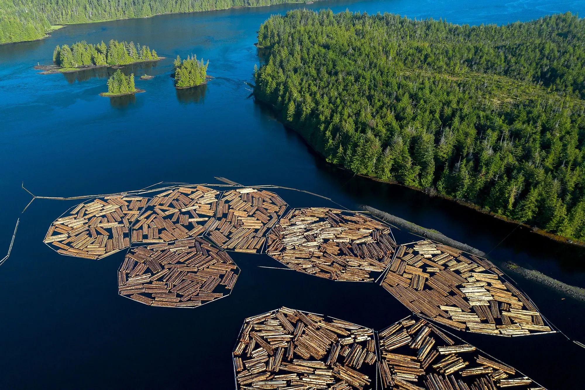 مخططات خشبية عائمة في بحيرة محاطة بغابات كثيفة، تعكس أهمية تجارة الخشب في العلاقات الاقتصادية بين كندا والولايات المتحدة.
