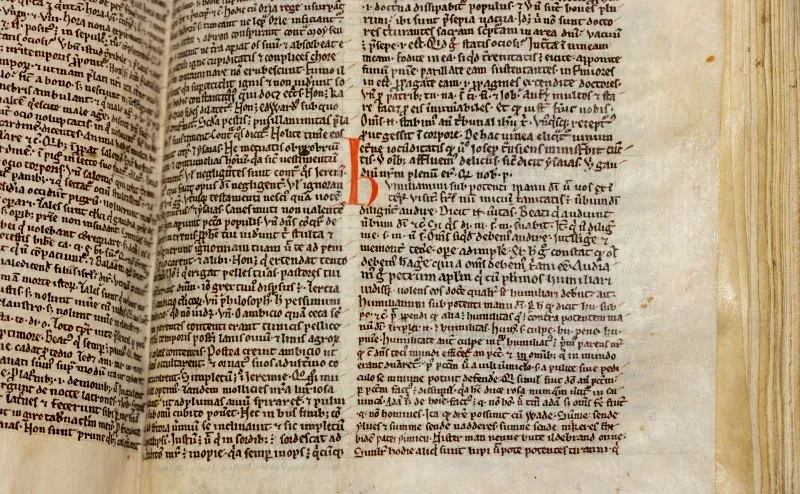 نص قديم باللغة اللاتينية يحتوي على مقتطفات من "أغنية وايد"، مع تمييز بلون أحمر، يعكس أهمية إعادة تفسير النصوص الأدبية.