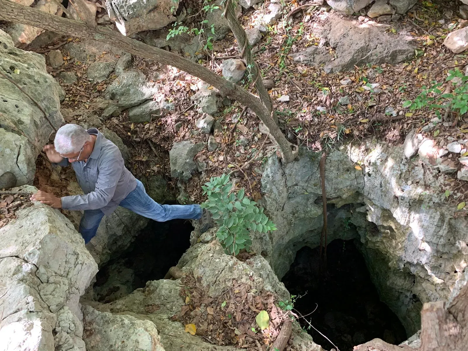 باحث يستكشف كهفًا في جزيرة هيسبانيولا، حيث تم العثور على أعشاش نحل قديمة داخل تجاويف عظام حيوانات منقرضة.