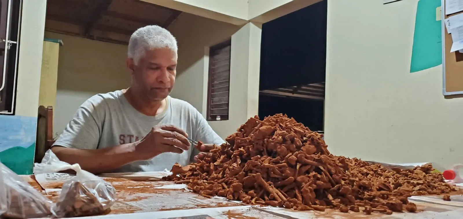 باحث يجلس أمام كومة من الحفريات، يقوم بدراسة عظام متحجرة في مختبر، مما يسلط الضوء على اكتشاف أعشاش النحل القديمة.