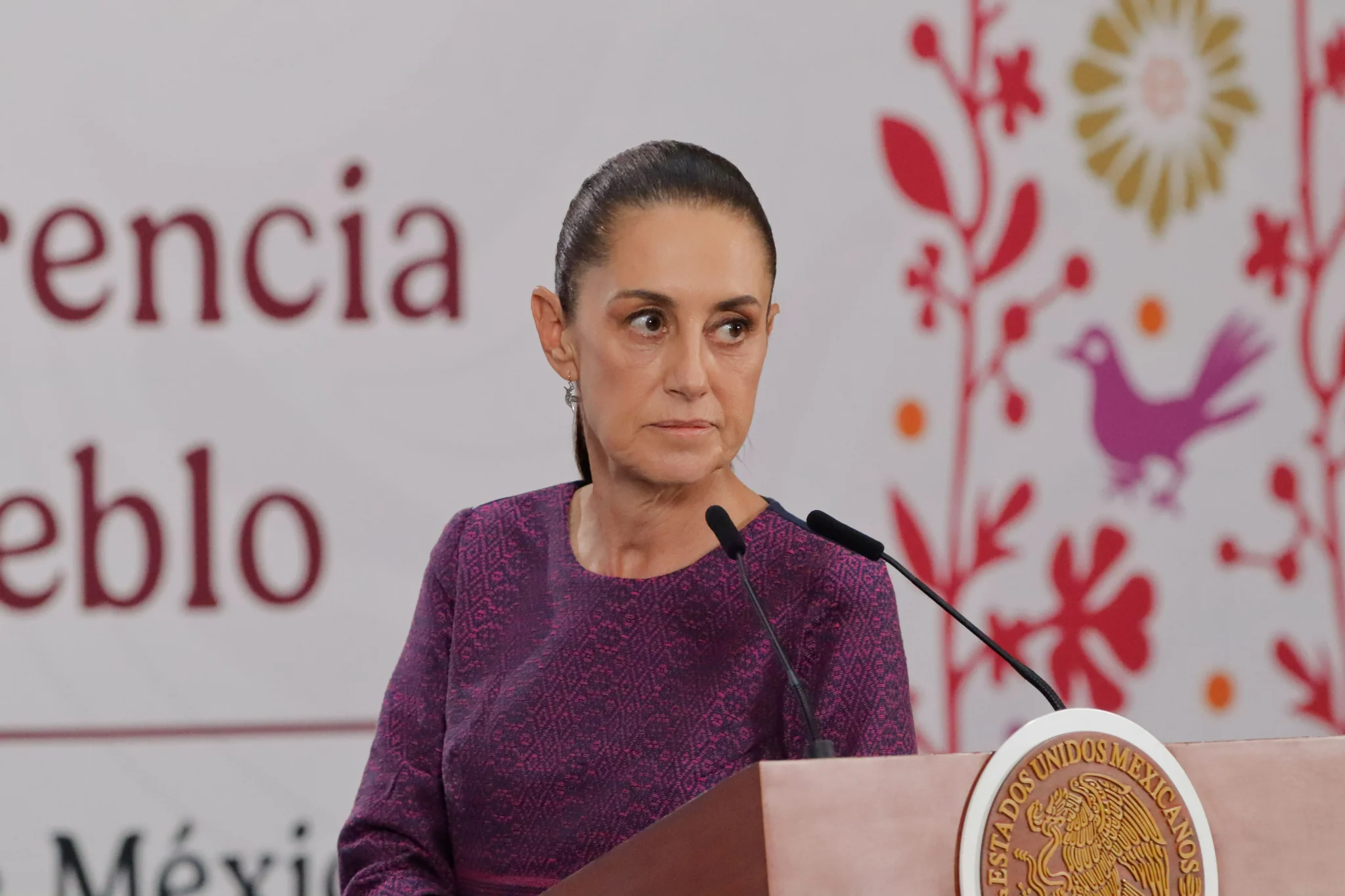 امرأة ترتدي فستانًا بنفسجيًا تقف أمام ميكروفونات في مؤتمر صحفي، تعبر عن الجدية والاهتمام بقضايا الأمن في المكسيك.