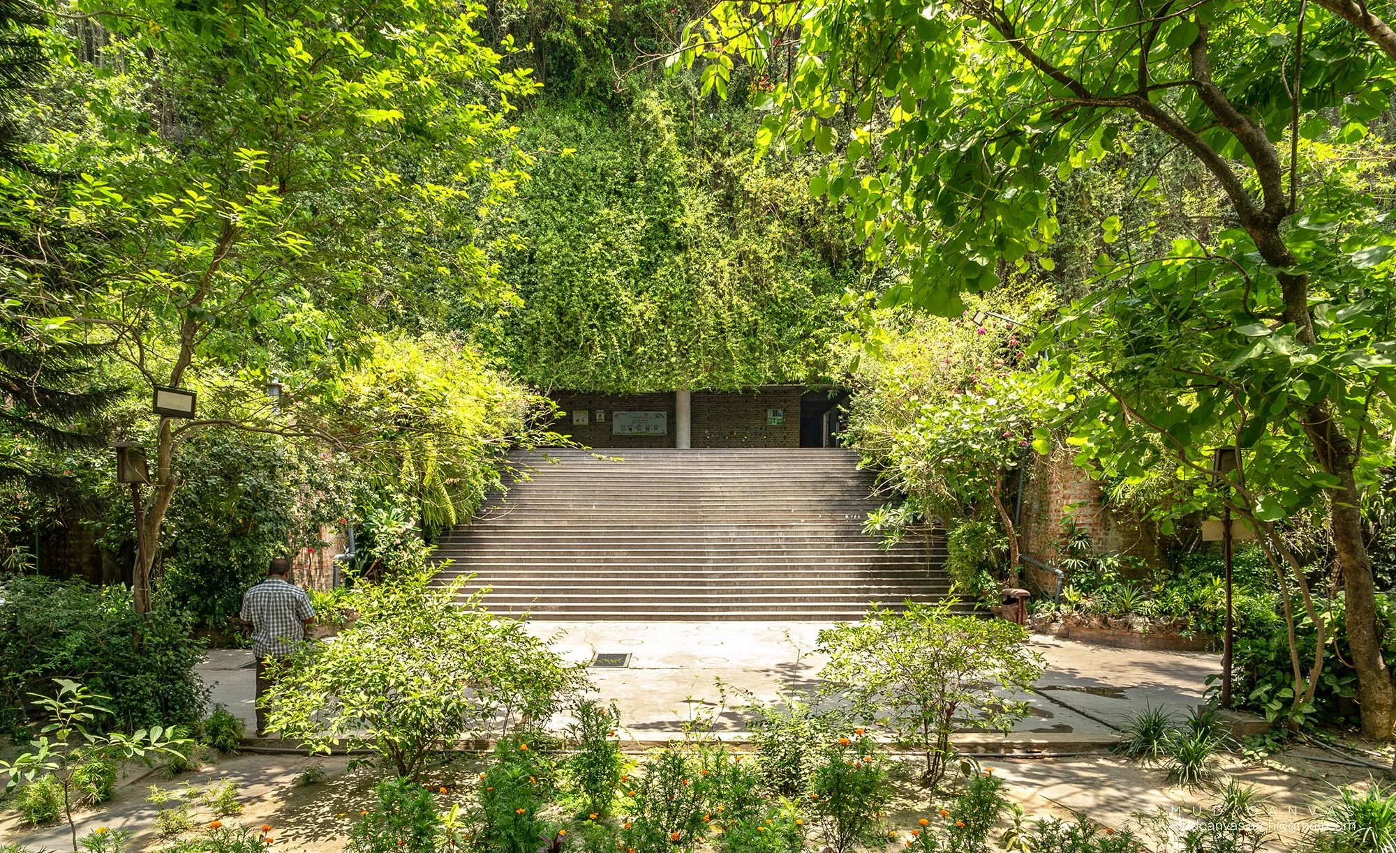 مدخل مصنع Green Field في بنغلاديش مغطى بالنباتات الخضراء الكثيفة، يعكس تصميمًا مستوحى من الطبيعة والبيوت الريفية لتعزيز بيئة عمل صحية ومستدامة.