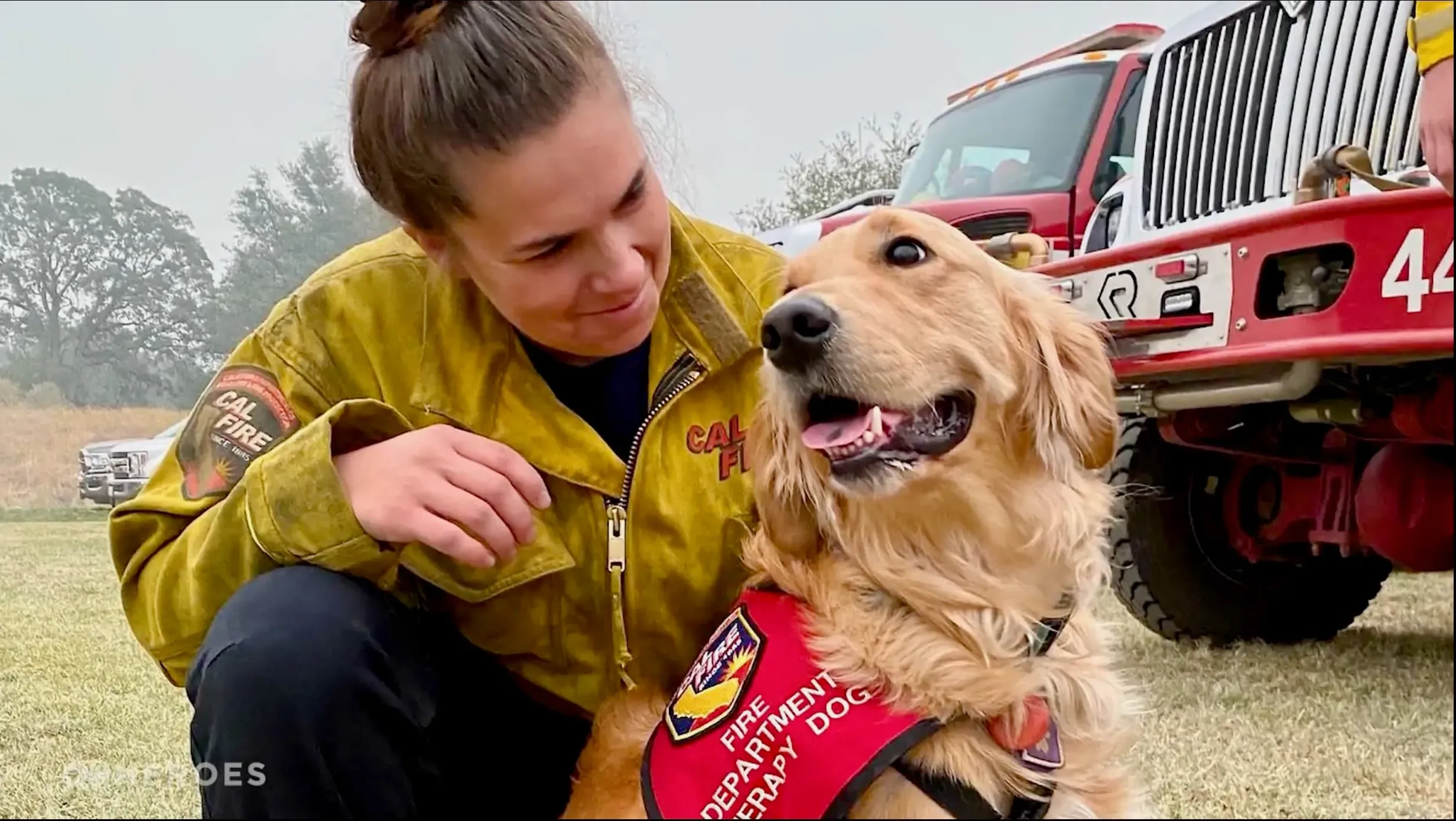 كلب ذهبي مسترد يرتدي سترة علاجية، يجلس بجانب امرأة ترتدي زي رجال الإطفاء، في موقع دعم للفرق الطارئة.