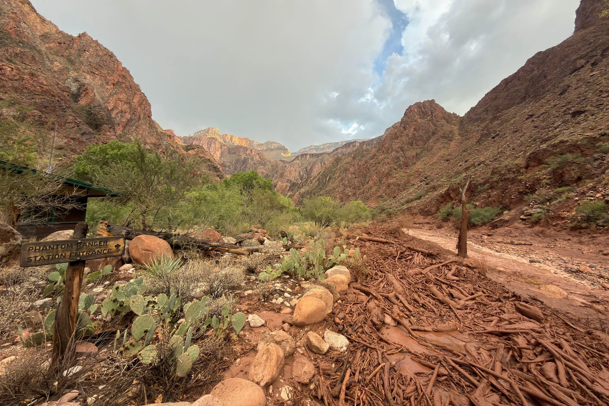 ممر طيني مليء بجذور الأشجار والصخور قرب مدخل محطة Phantom Ranch في وادي Grand Canyon بعد فيضان أغسطس 2025.