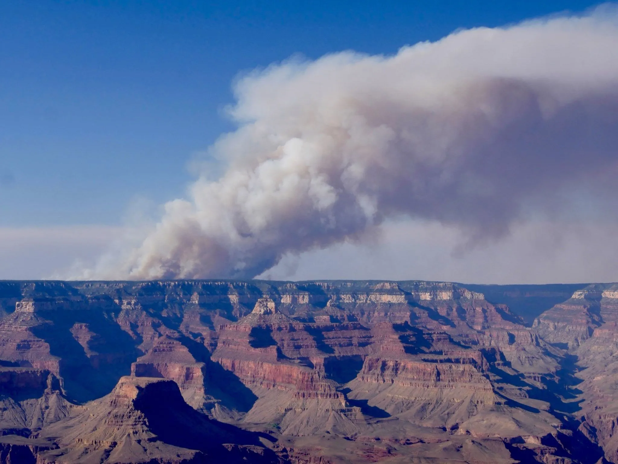 دخان كثيف يتصاعد من حريق غابات في حافة وادي Grand Canyon، مؤثراً على البيئة الطبيعية والتراثية للمنطقة.