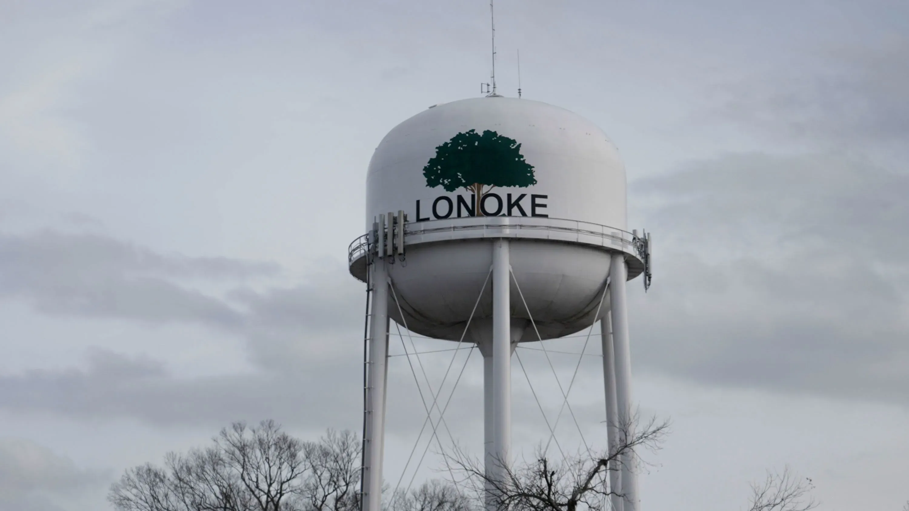 برج مياه يحمل اسم "لونوك" باللون الأسود والأخضر، يتوسط سماء ملبدة بالغيوم، ويعكس أجواء الانتخابات التمهيدية في مقاطعة لونوك.