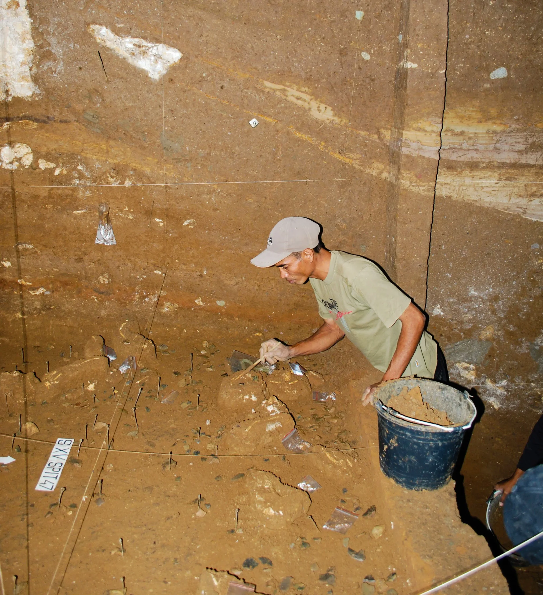 باحث ينقب في موقع حفريات كهف Liang Bua بإندونيسيا لاكتشاف بقايا Homo floresiensis وأدوات حجرية مرتبطة بسلوكياتهم الغذائية.
