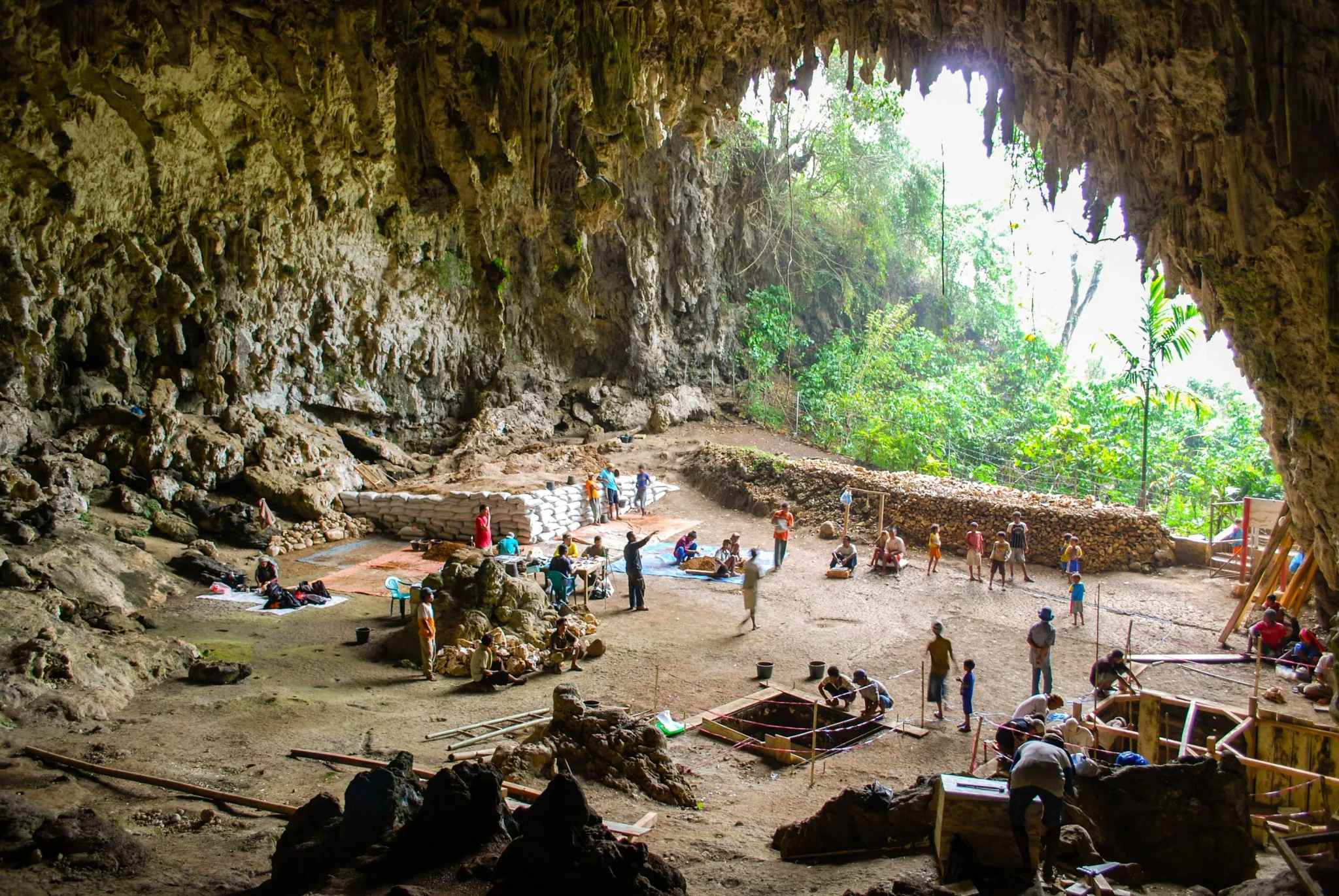 حفريات كهف Liang Bua في إندونيسيا حيث اكتُشفت بقايا Homo floresiensis، مع فريق تنقيب أثري يعمل داخل الكهف.