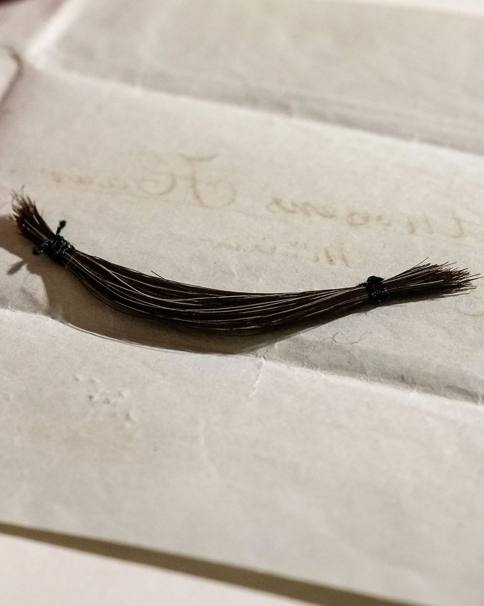 خصلات شعر مرتبطة بخيط، موضوعة على ورقة قديمة، تمثل ذكرى لجين أوستن، تبرز الأبعاد الشخصية لحياتها وأيامها الأخيرة.