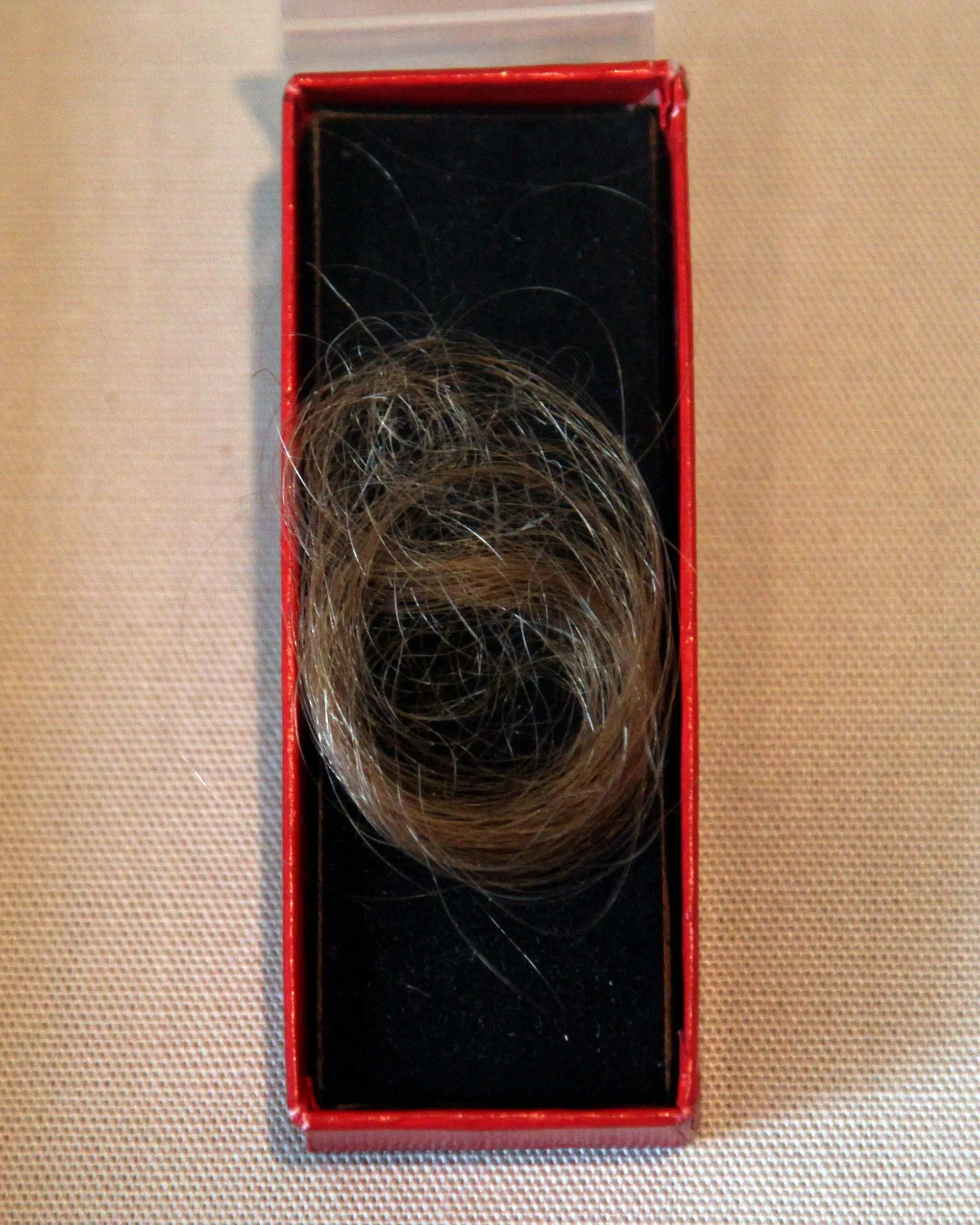 خصلات شعر جين أوستن محفوظة في علبة حمراء، تمثل جزءًا من تاريخها الشخصي وتفاصيل حياتها الأخيرة.