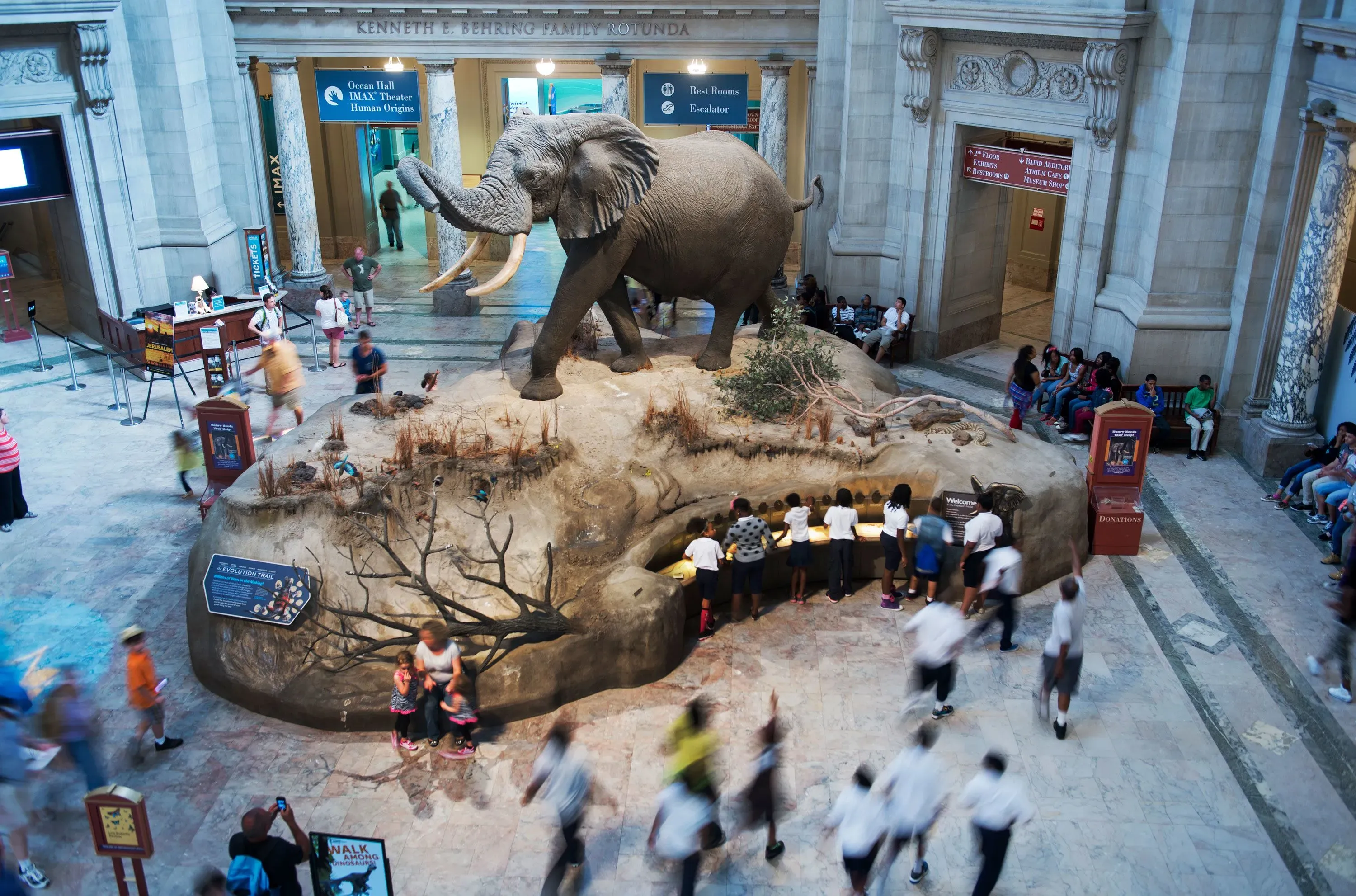 تمثال لفيل ضخم في مركز كينيدي، محاط بجمهور من الزوار، يعكس تأثير الثقافة الشعبية على الفنون.