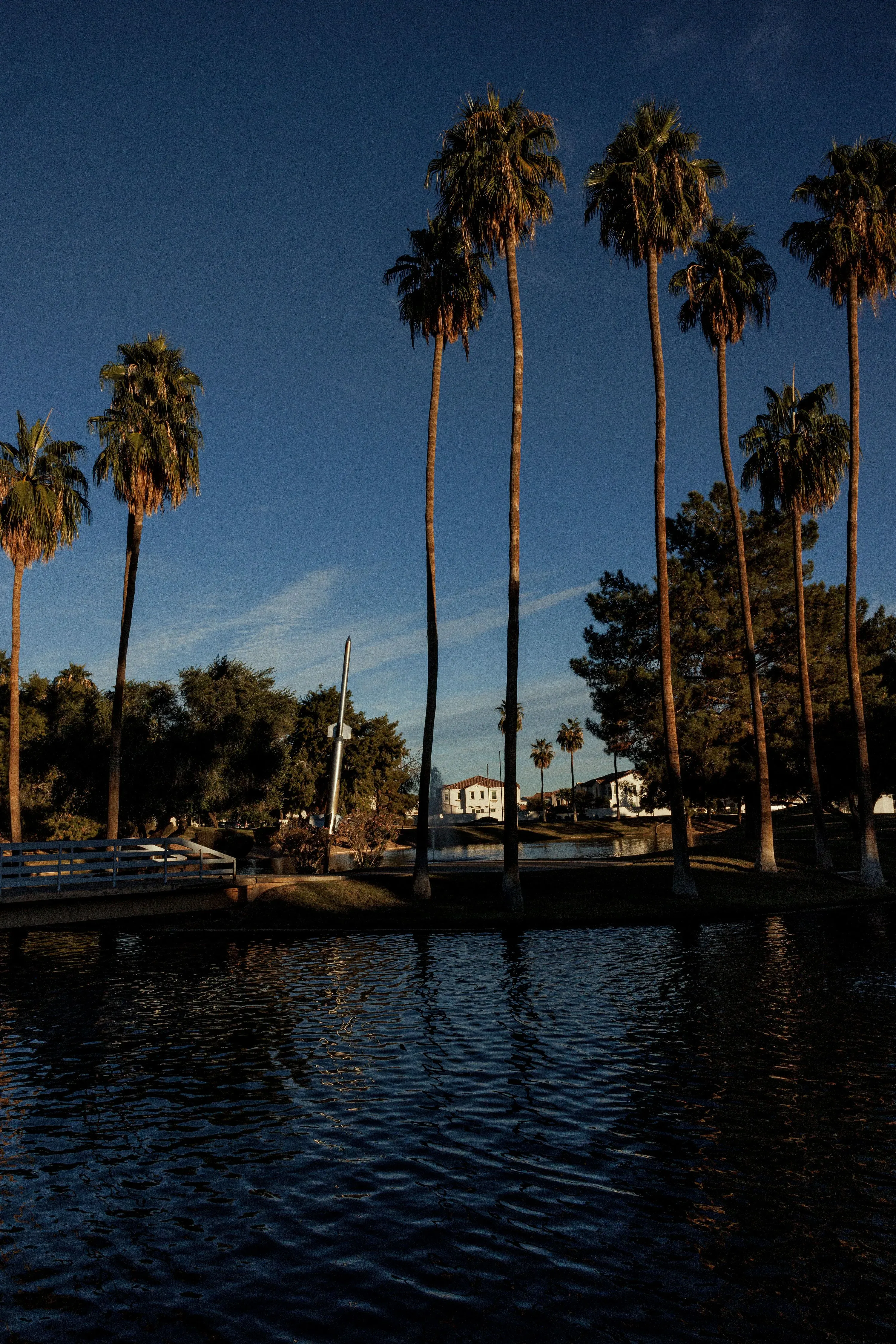 أشجار النخيل ترتفع فوق مياه هادئة في تشاندلر، أريزونا، حيث تظهر المنازل خلفها، مما يعكس البيئة السكنية المحيطة بمراكز البيانات.