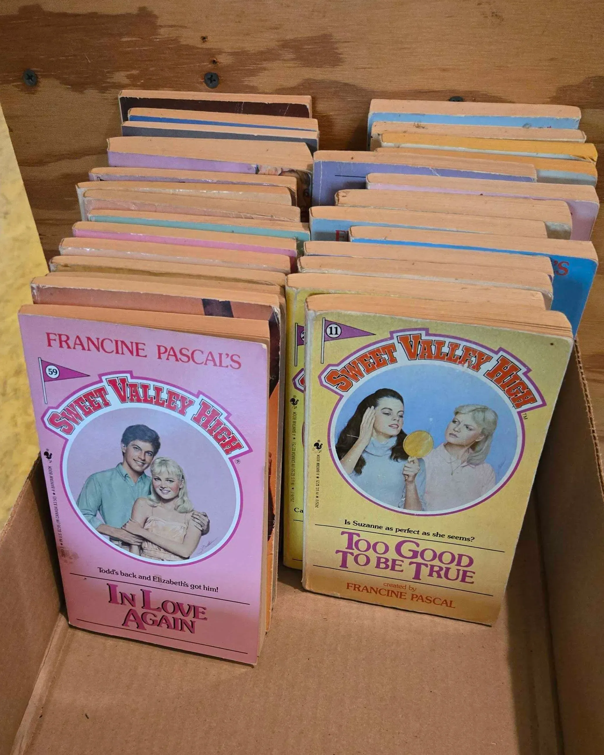 صندوق مملوء بروايات "سويت فالي هاي" في مكتبة صغيرة بمونوي، تعكس ذكريات المراهقة وتجارب شخصية في عالم الأدب الأمريكي.