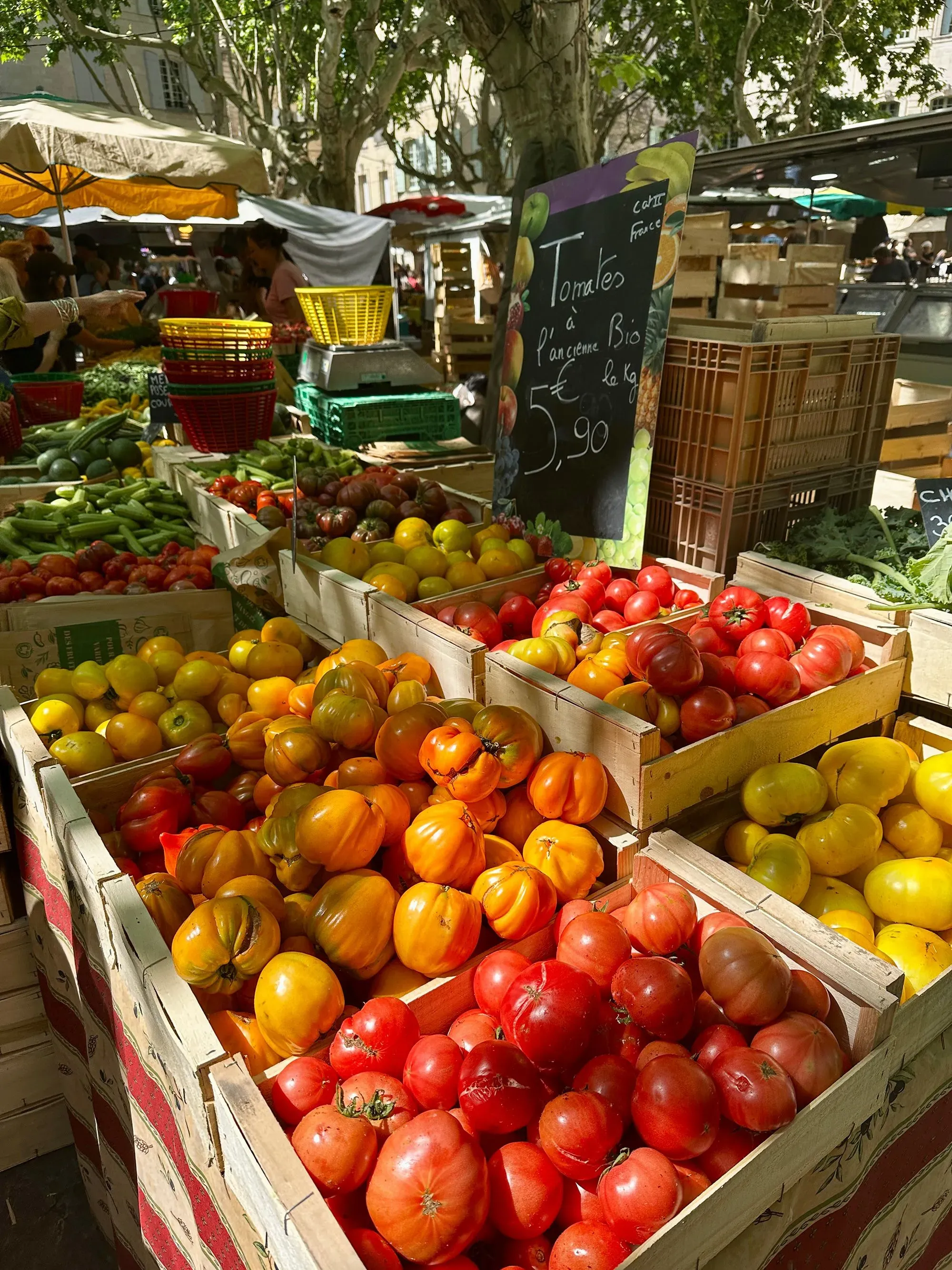 سوق في أوزيس يعرض صناديق مليئة بالطماطم بألوان متنوعة، مع لافتة تشير إلى الأسعار، تحت أشعة الشمس.