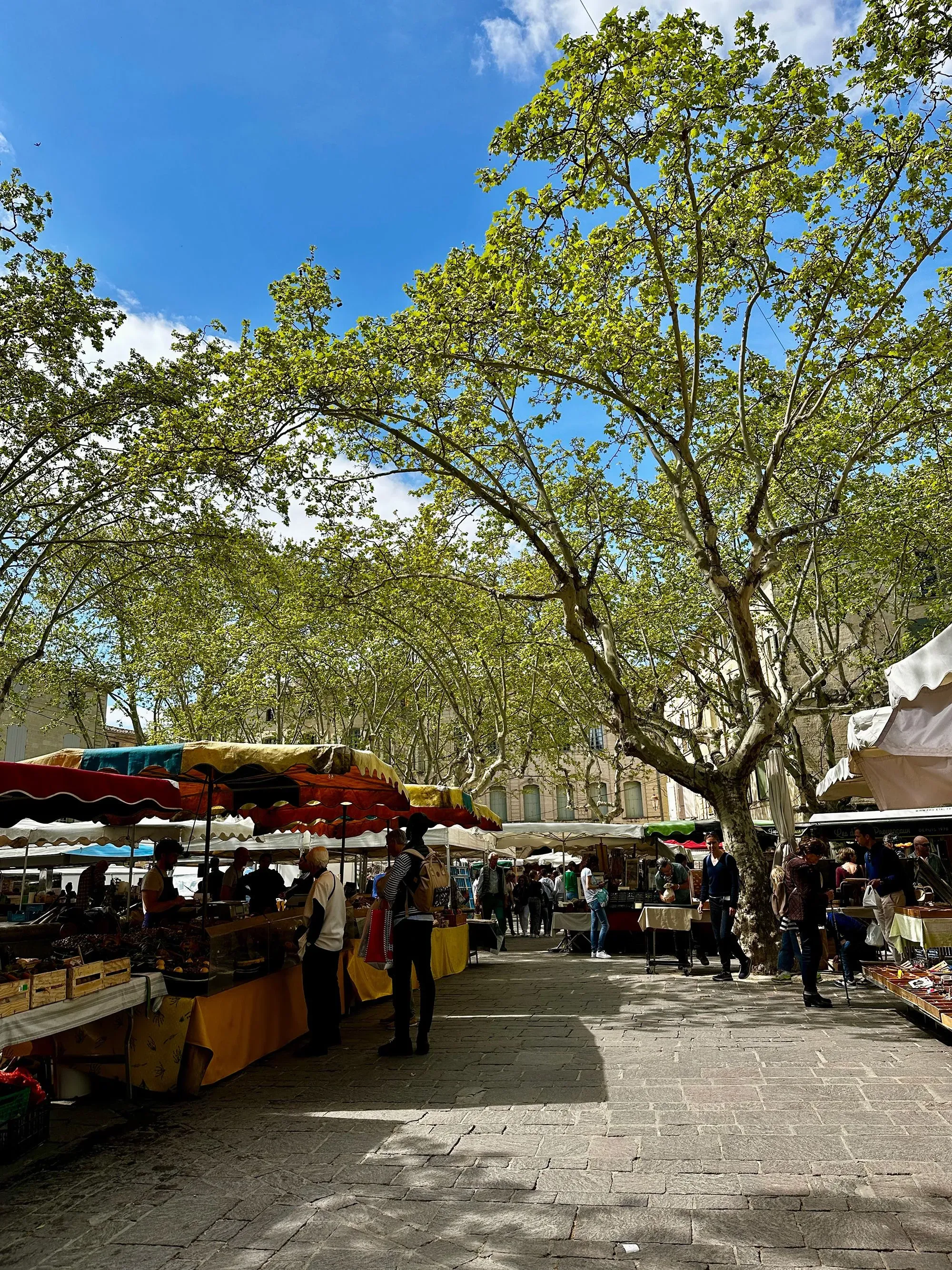 سوق حيوي في بلدة أوزيس الفرنسية، مع أكشاك ملونة تحت أشجار كبيرة، حيث يتجول الزوار بين البضائع المحلية. السماء زرقاء وصافية.