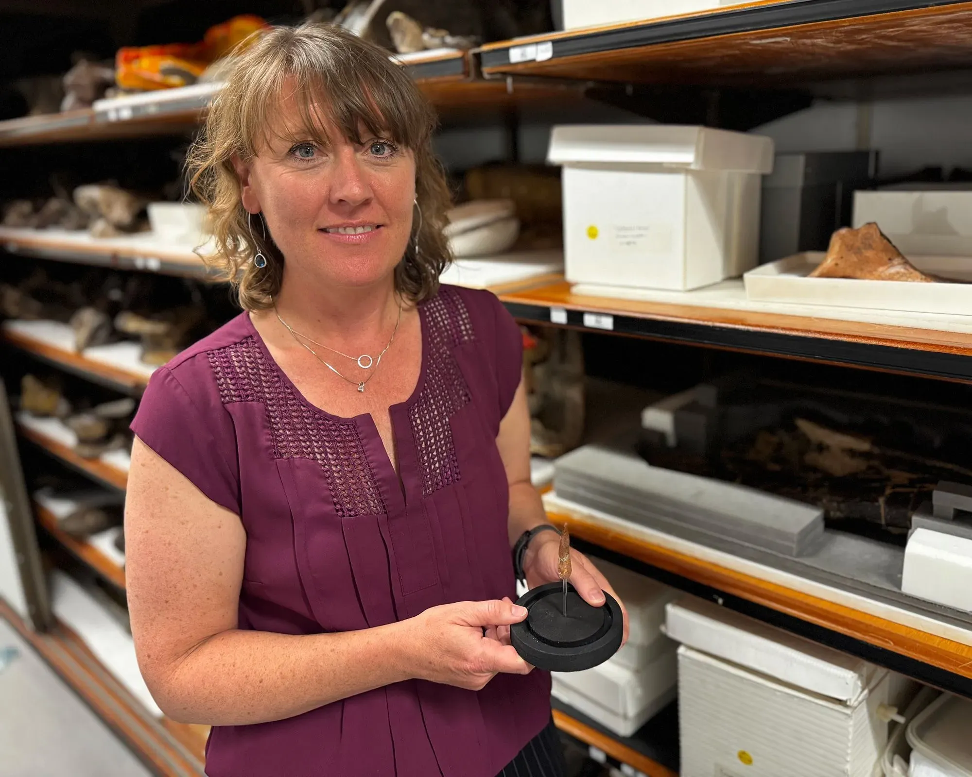 عالمة حفريات تحمل عينة أحفورية في متحف التاريخ الطبيعي، مع خزائن مليئة بالعينات خلفها، تعكس أهمية البحث في علم الحفريات.