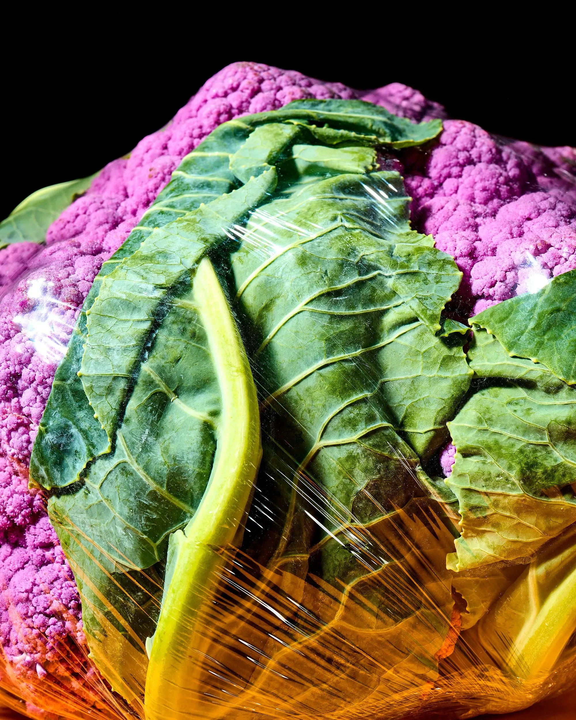 قرنبيط بنفسجي محاط بأوراق خضراء، مغلف بالبلاستيك، يرمز إلى الأطعمة الطازجة في مواجهة انتشار الأطعمة فائقة المعالجة.