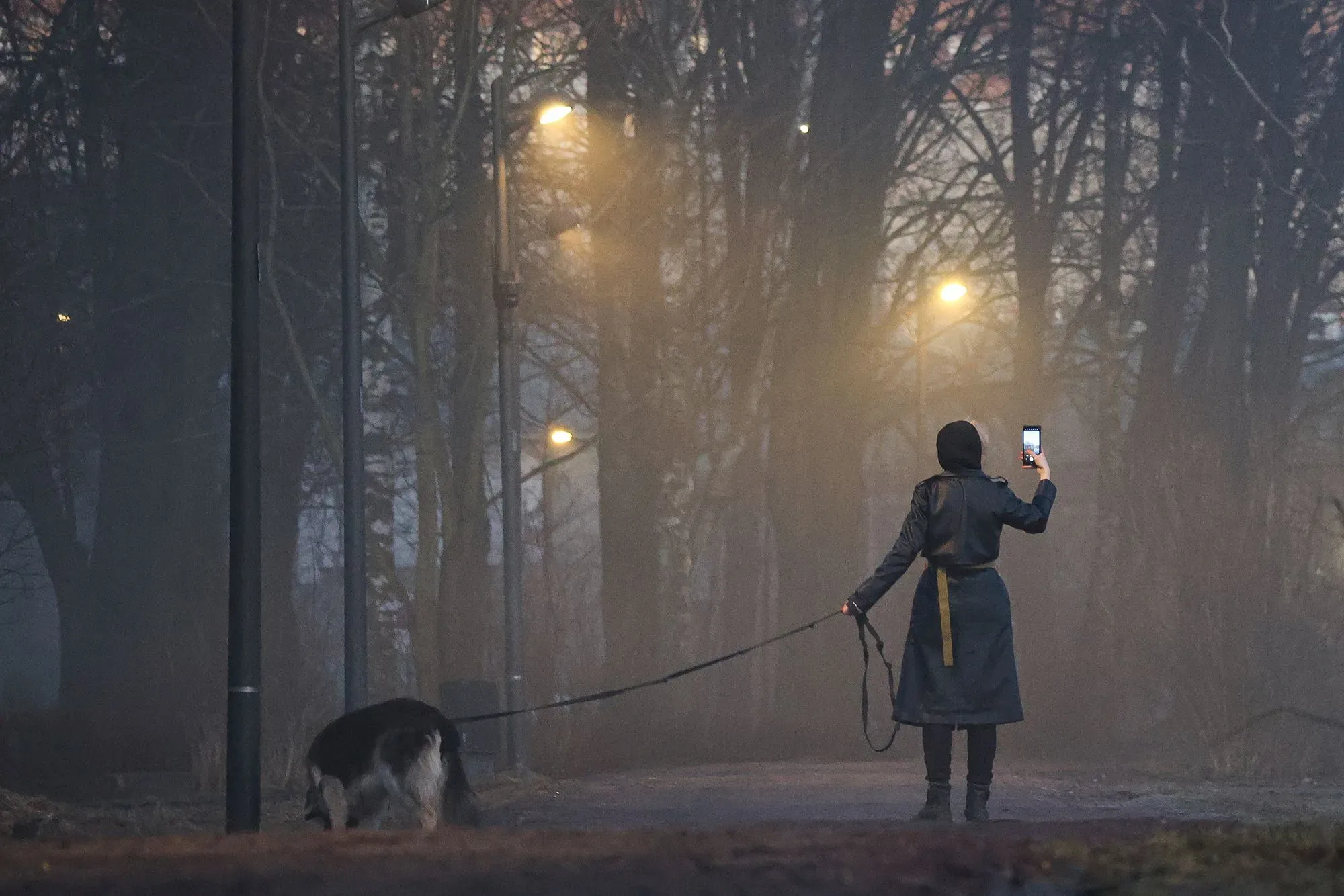 امرأة ترتدي معطفًا طويلًا تحمل هاتفًا محمولًا في يدها، بينما تمشي مع كلبها في شارع مظلم مع أضواء الشوارع في الخلفية، تعكس تأثيرات انقطاع الإنترنت في موسكو.
