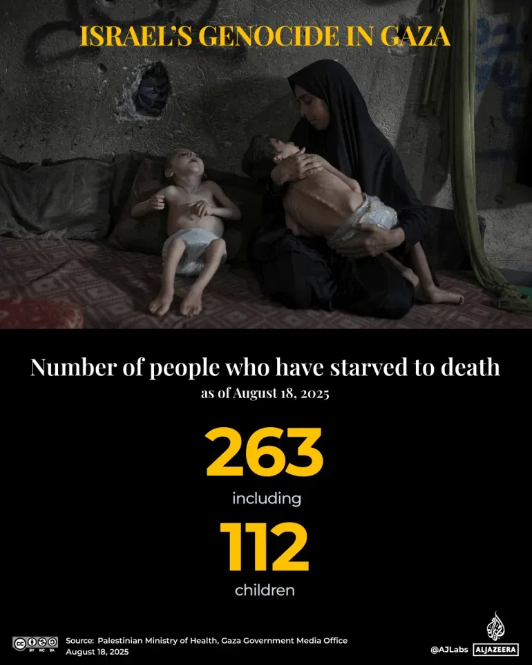 امرأة تحمل طفلًا نحيفًا بينما يجلس طفل آخر بجانبها، مع نص يوضح عدد الوفيات بسبب المجاعة في غزة، بما في ذلك 112 طفلًا.