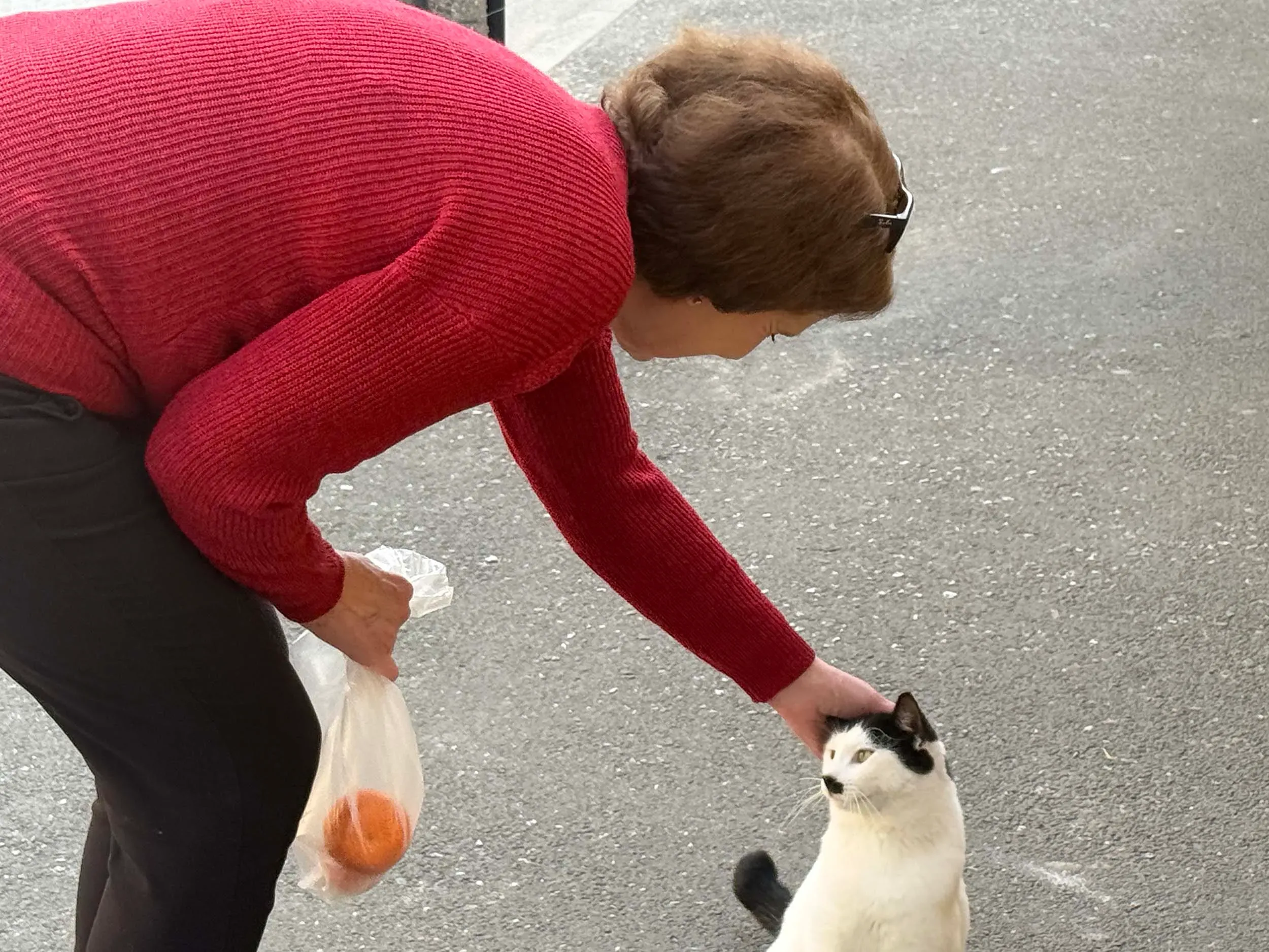 امرأة ترتدي سترة حمراء تلامس رأس قطة بيضاء وسوداء، بينما تحمل كيسًا يحتوي على برتقال. تعكس الصورة تفاعلًا وديًا في بيئة حضرية.