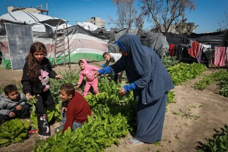 امرأة ترتدي الحجاب تعمل في حديقة صغيرة مع أطفالها، يزرعون الخضروات وسط خيام في غزة، مع خلفية من المباني المدمرة.