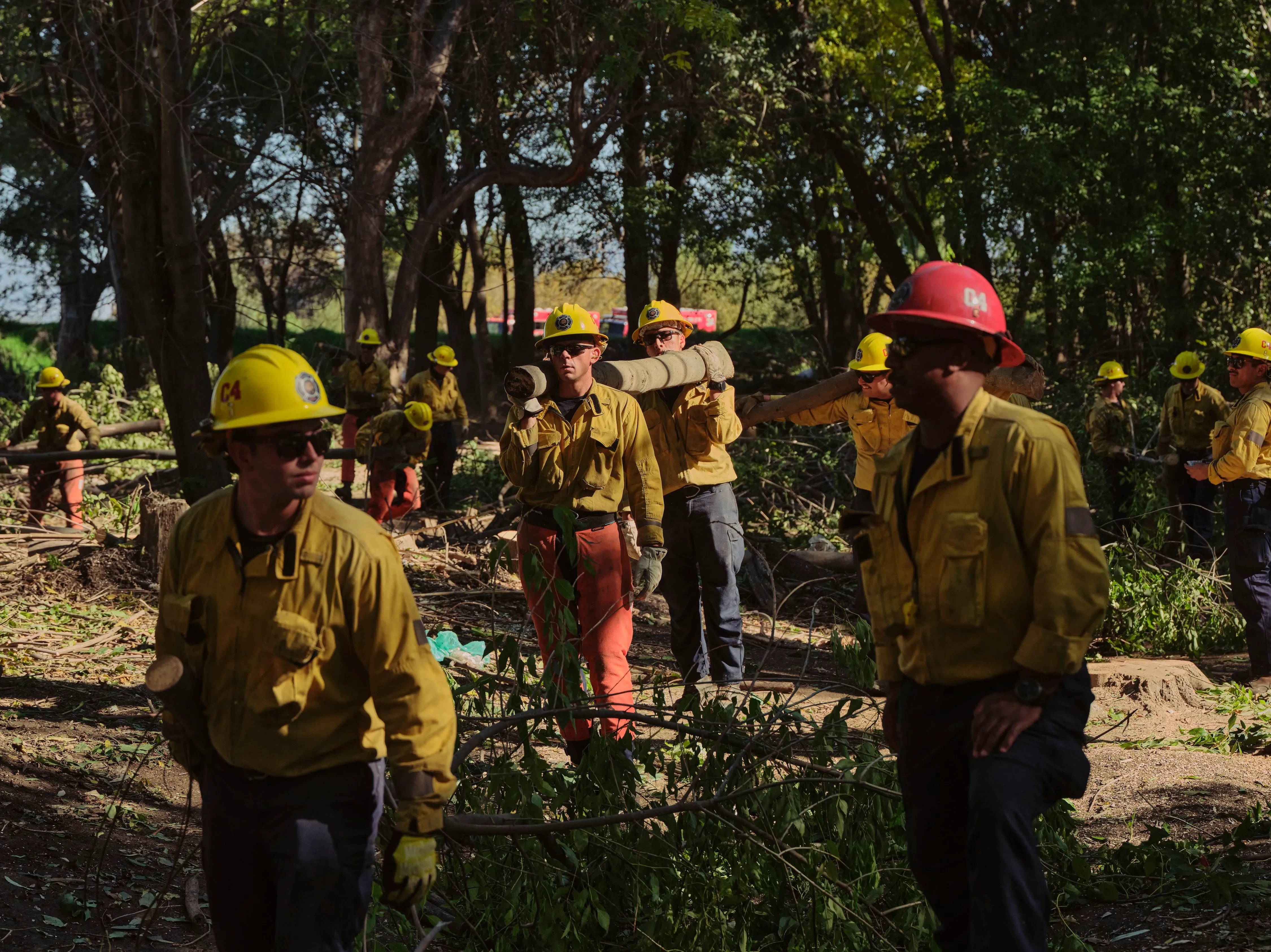رجال الإطفاء يعملون في حوض سيبولفيدا بكاليفورنيا، يقطعون الأشجار والأغصان باستخدام المناشير الآلية، استعدادًا لموسم الحرائق.