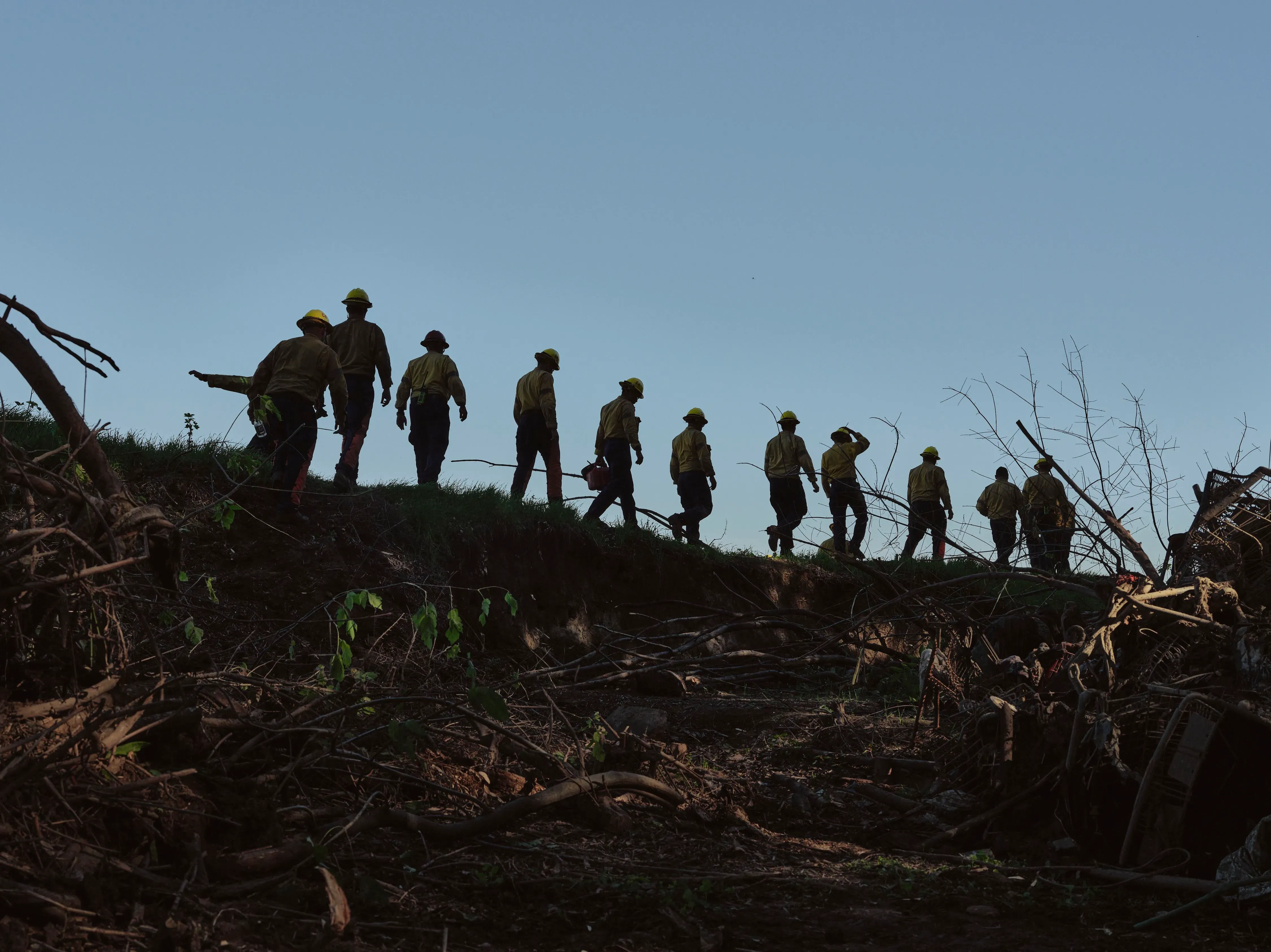 مجموعة من رجال الإطفاء يرتدون زي العمل الأصفر، يسيرون على تلة في منطقة مشجرة، بينما يقومون بإزالة الأشجار استعدادًا لموسم الحرائق في لوس أنجلوس.