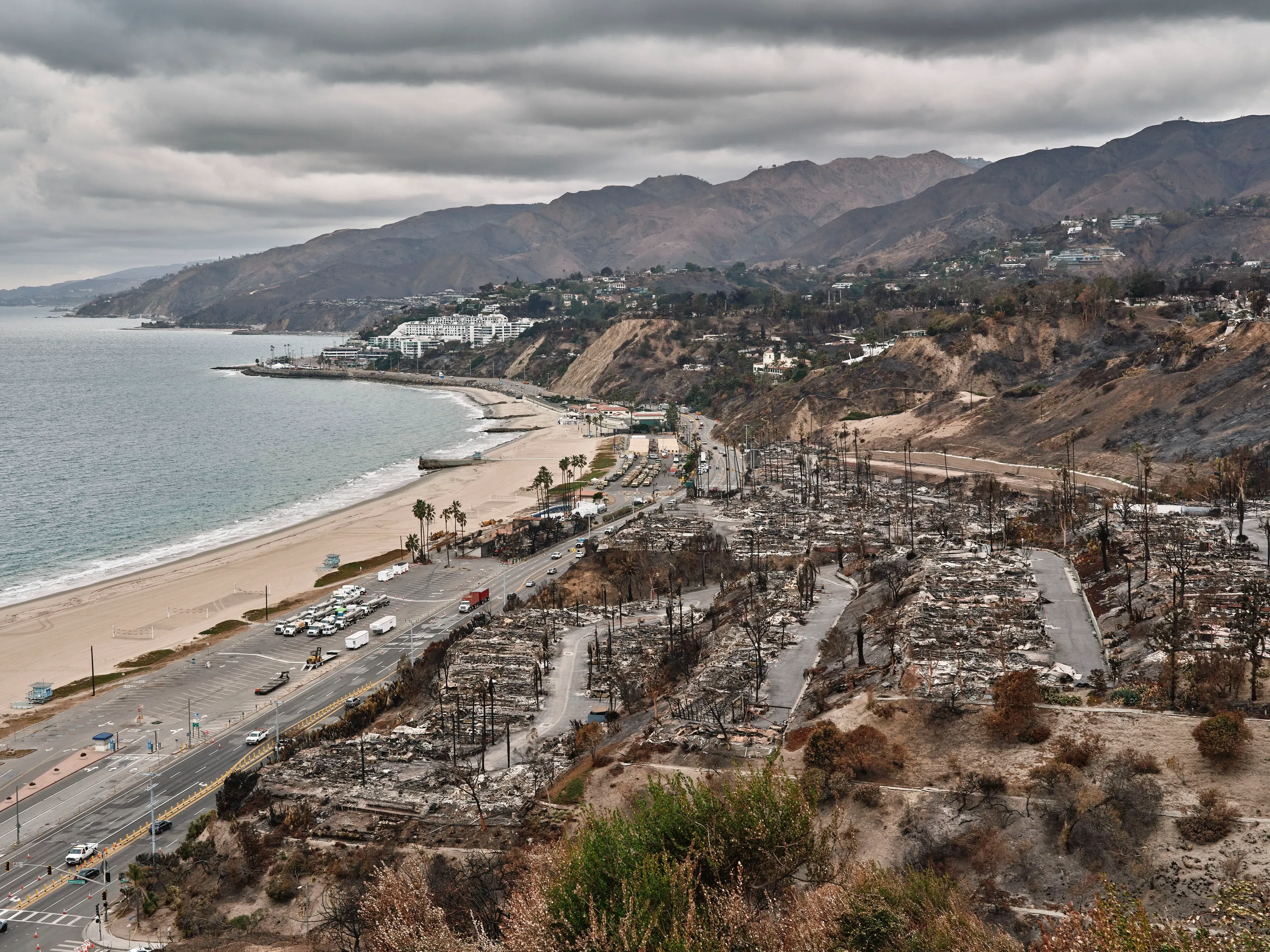 صورة تظهر أليك ديربتروسيان ورئيس العمال راندي ماغانيا أثناء العمل بالمنشار الآلي لقطع الأشجار في جنوب كاليفورنيا، في إطار جهود مكافحة حرائق الغابات.