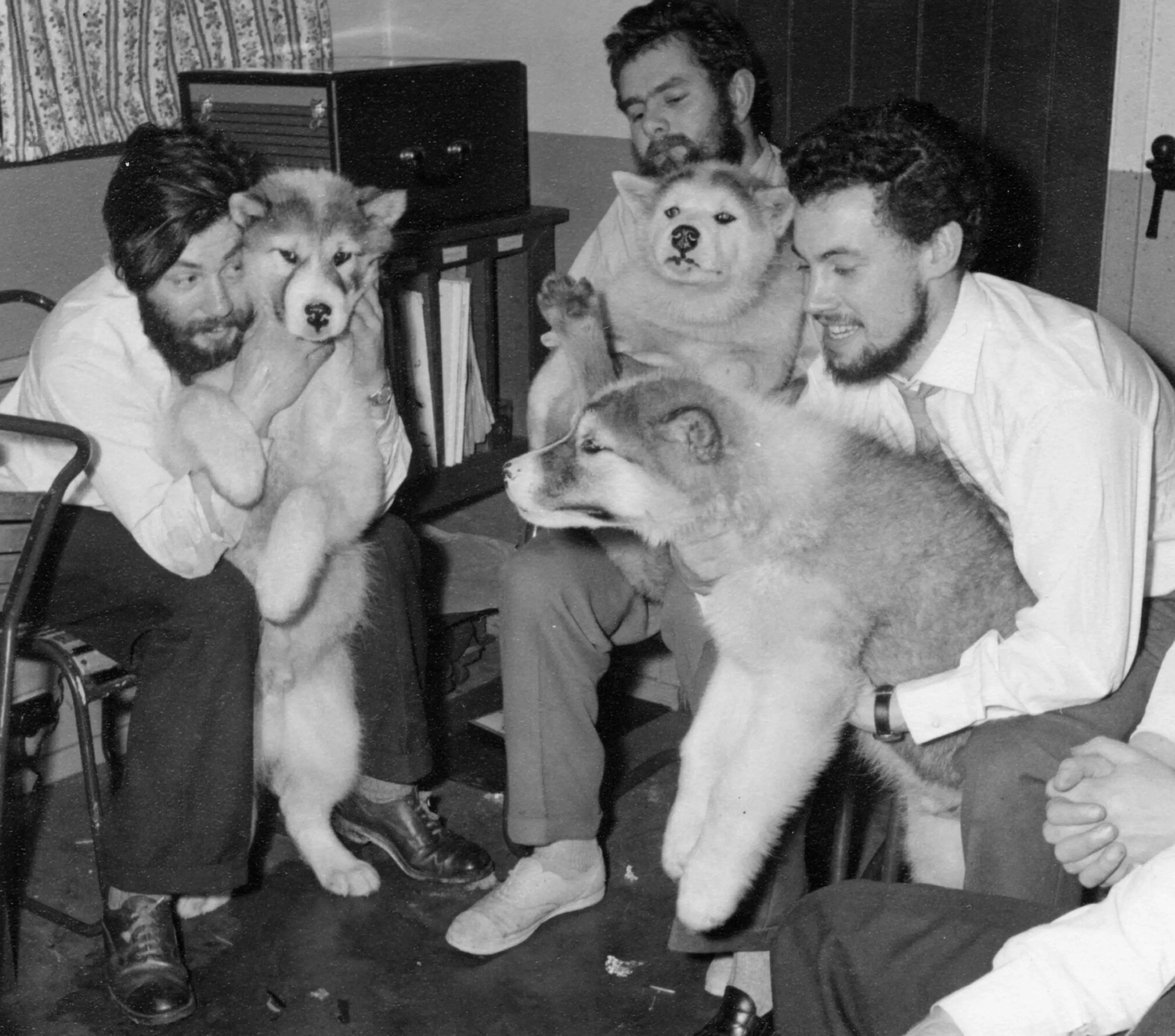 ثلاثة رجال يجلسون في غرفة، يحملون كل منهم كلبًا من نوع الهاسكي، مع تعبيرات ودية في أجواء غير رسمية.