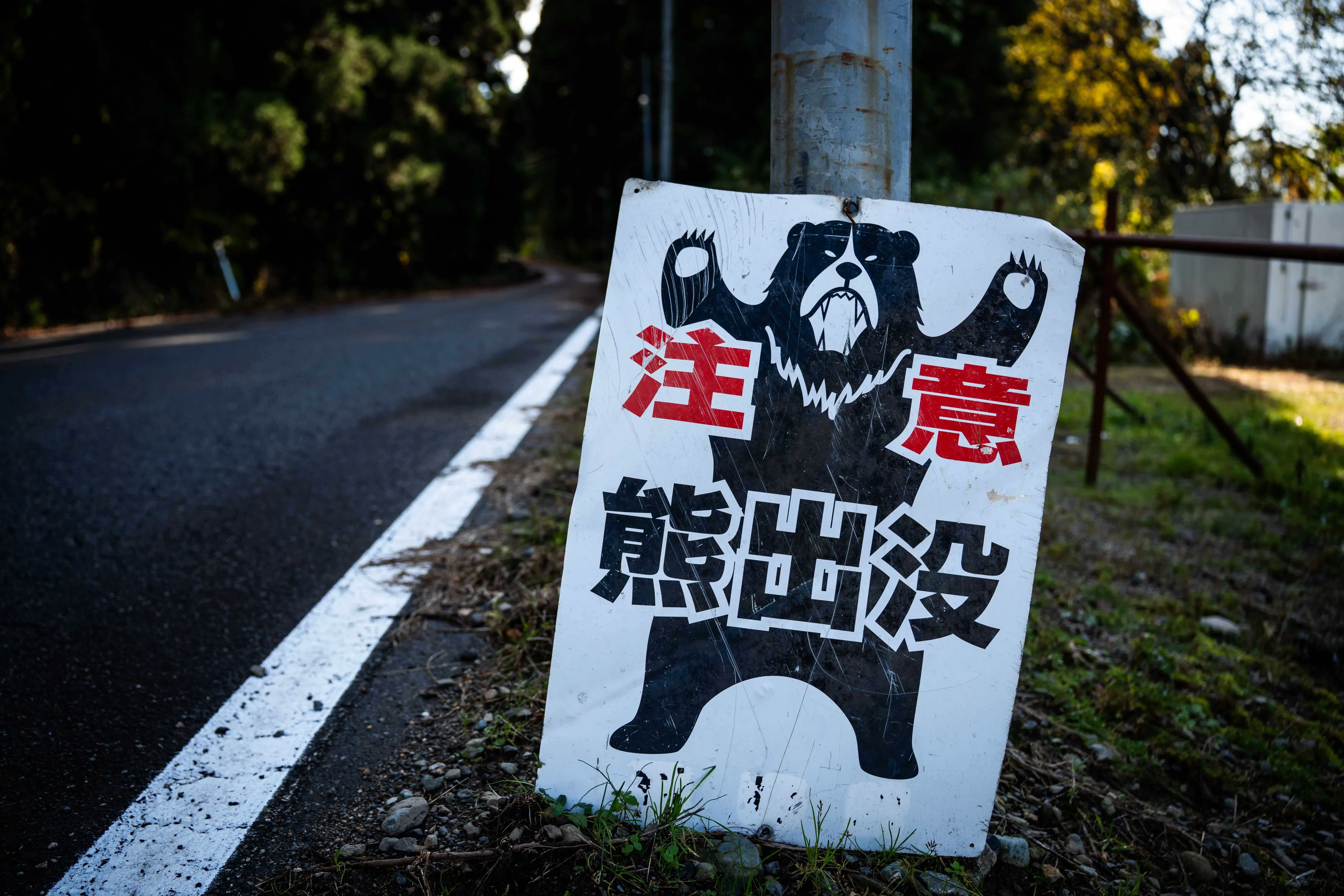 لافتة تحذيرية على جانب الطريق في اليابان، تظهر دبًا أسود مع عبارة "احذر، الدببة تتجول". تشير إلى زيادة هجمات الدببة في المناطق السكنية.