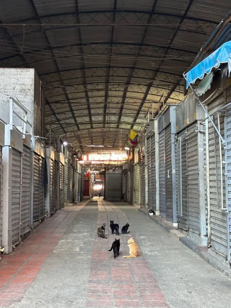 سوق كوينتا كريسبو في كراكاس، فنزويلا، خالٍ من المتسوقين مع وجود قطط تتجول في الممرات بين المتاجر المغلقة.