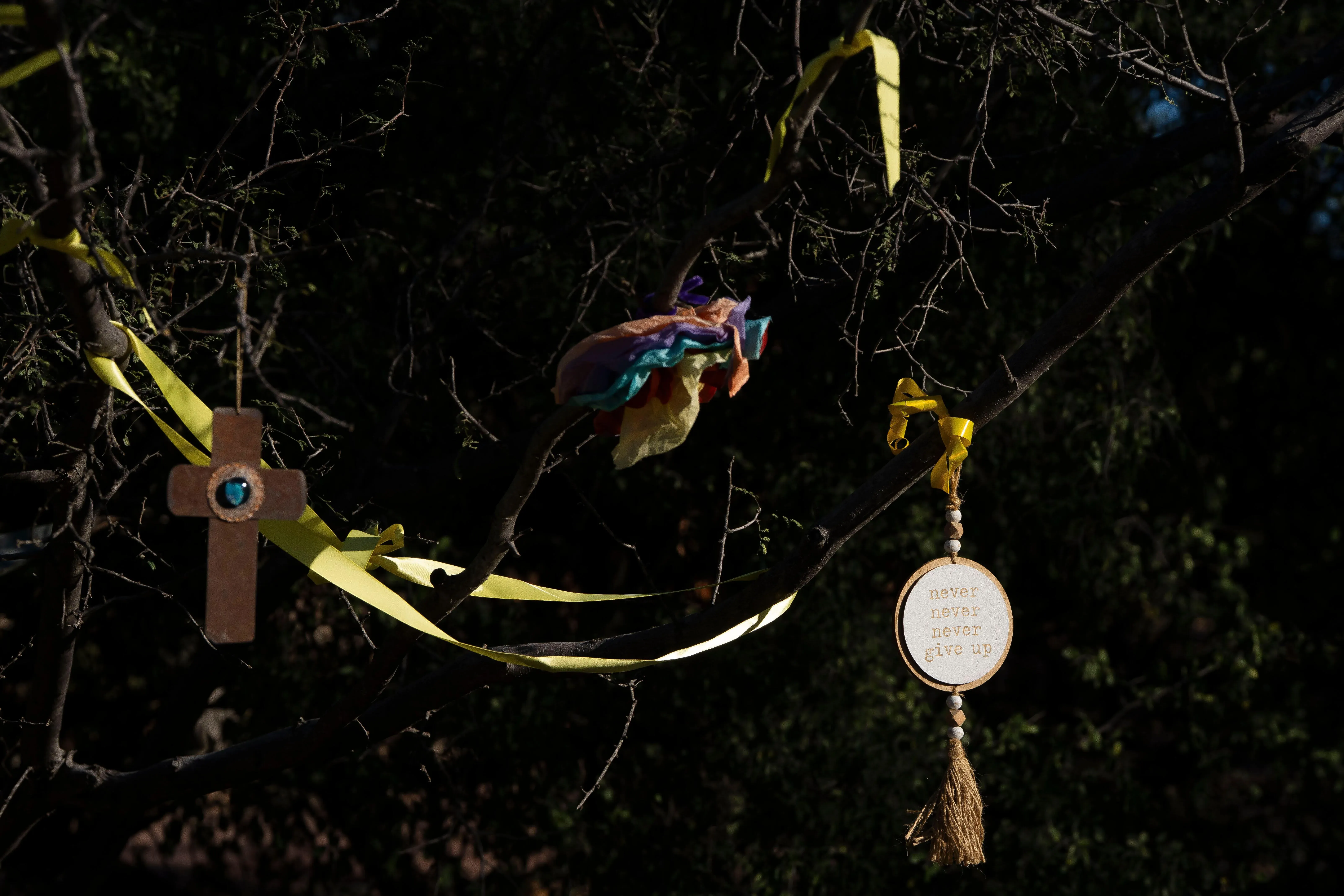 شجرة تحمل رموز الأمل والدعاء، تتضمن صليبًا خشبيًا وأشرطة صفراء، مع لافتة مكتوب عليها "لا تستسلم أبدًا"، تعبيرًا عن دعم عائلة غوثري.