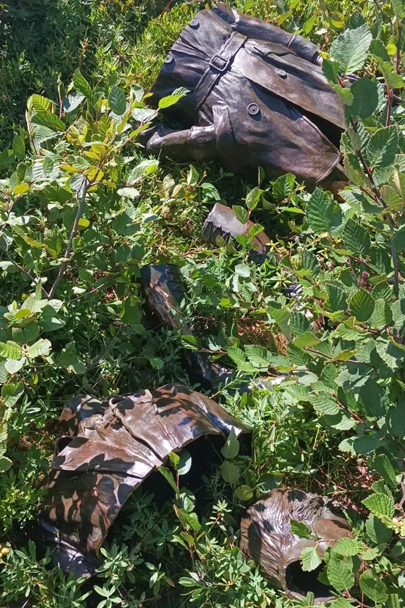 بقايا تمثال أميليا إيرهارت المقطّع إلى خمس قطع، مغطاة بالأعشاب في منطقة نائية بكندا، تعكس اختفاءً غامضًا في تاريخ الطيران.