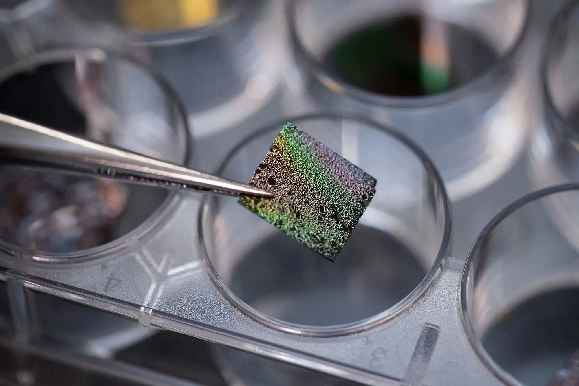 شريحة رقيقة من الغبار الكوني الاصطناعي تُمسك بملاقط، تظهر ألوانًا متنوعة، داخل حاوية مختبرية، تعكس جهود إعادة خلق ظروف الفضاء.