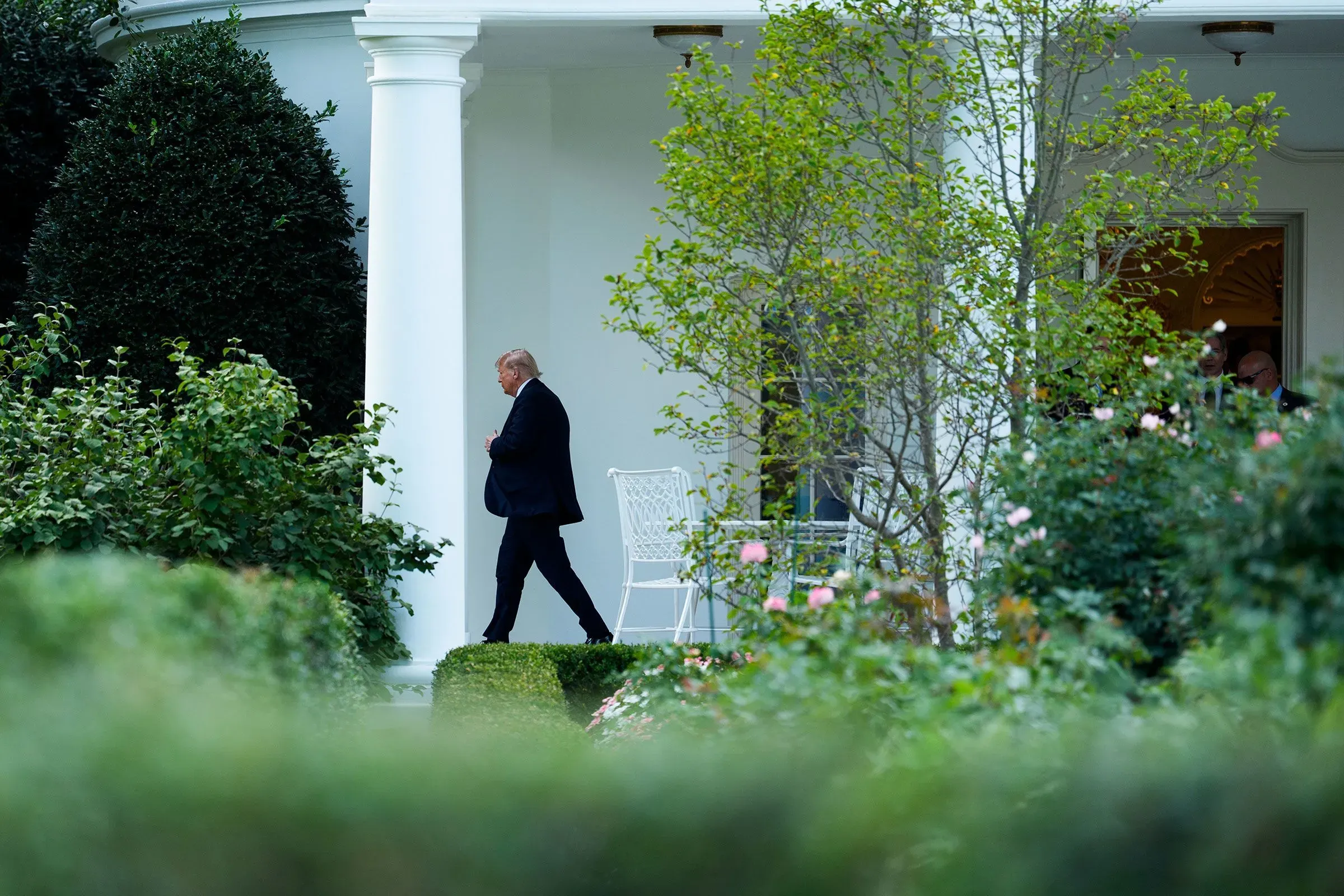 رجل يرتدي بدلة يسير في حديقة البيت الأبيض، محاطًا بالأشجار والنباتات، مما يعكس حالة من التأمل والجدية.