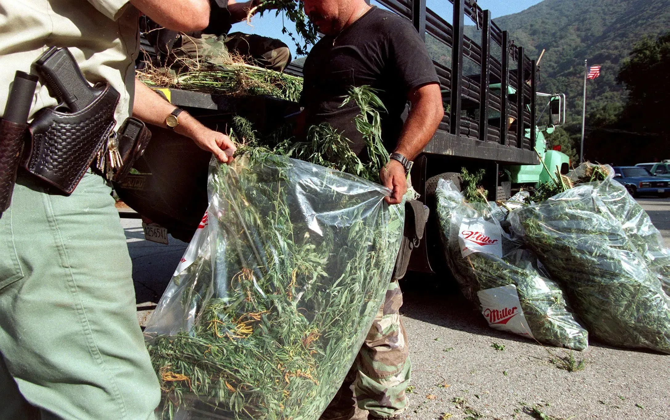 ضابط شرطة يحمل أكياسًا تحتوي على نباتات القنب بعد عملية مكافحة المخدرات، مع شاحنة في الخلفية، تعكس تصعيد الحرب على المخدرات.
