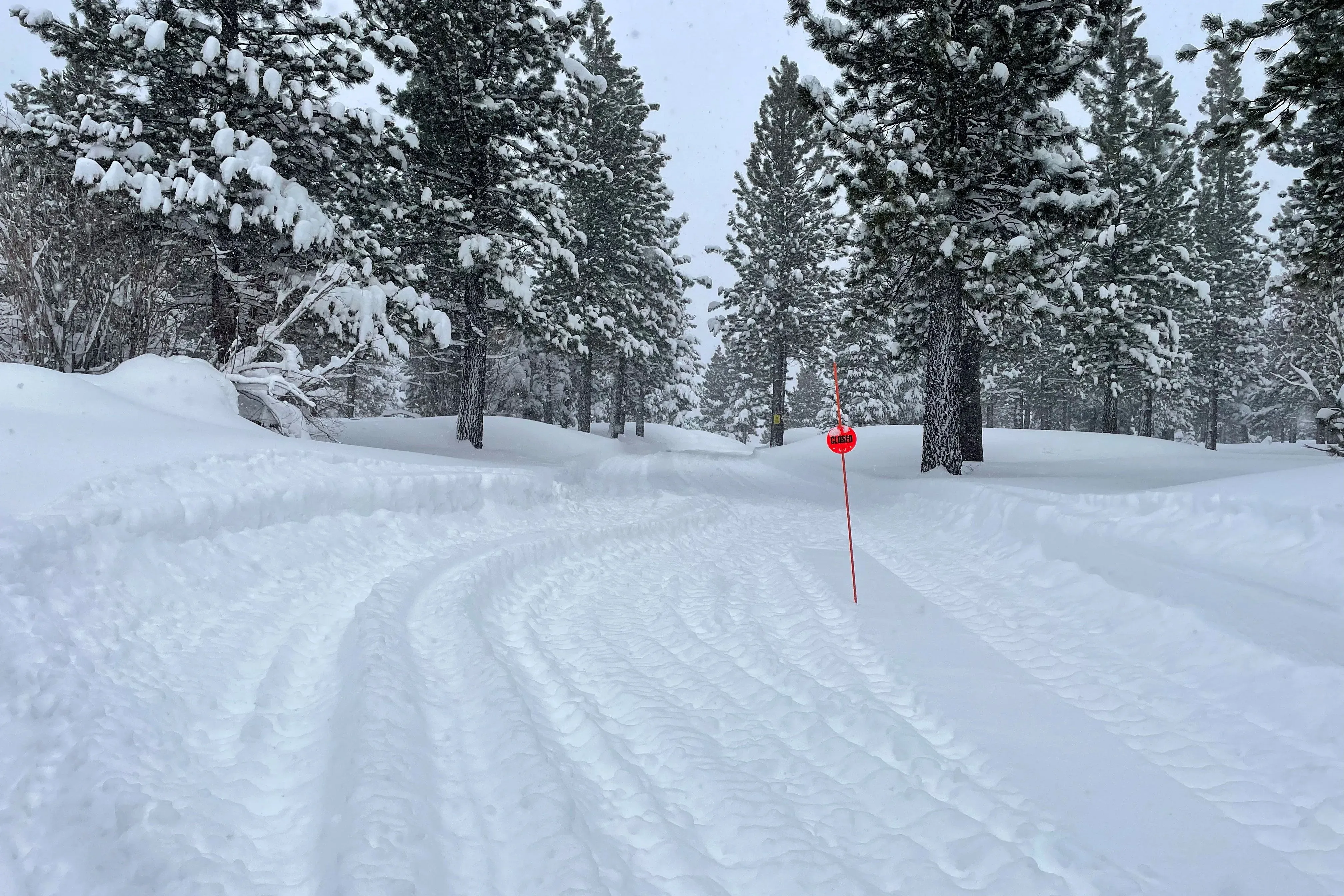 منطقة مغطاة بالثلوج الكثيفة مع أشجار صنوبر، تظهر علامة حمراء وسط المسار المتعرج، تعكس الظروف القاسية بعد الانهيار الثلجي في بحيرة تاهو.