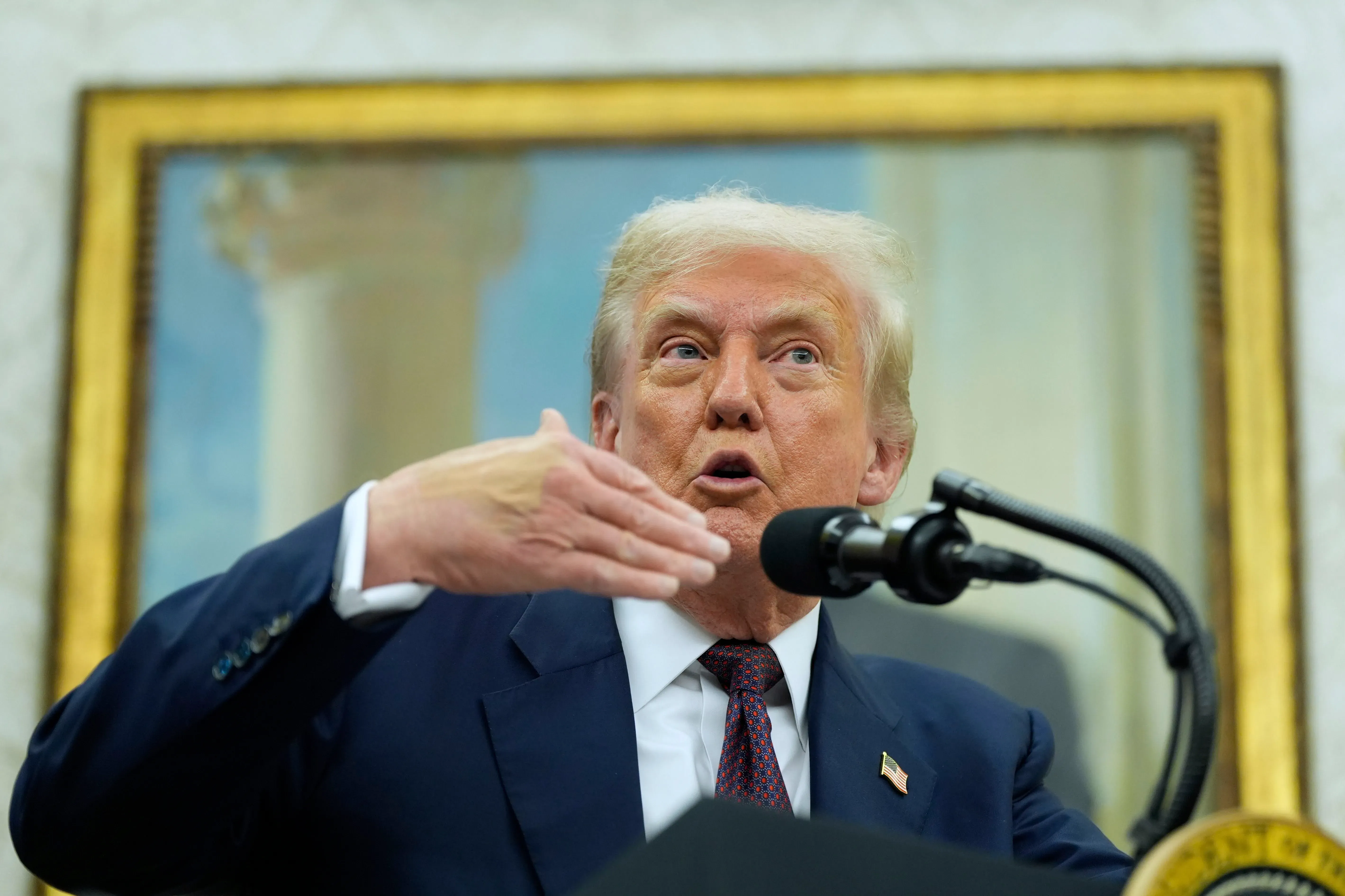 ترامب يتحدث في مؤتمر صحفي، مع التركيز على خططه لإجراء تعداد سكاني جديد، بينما يظهر خلفه إطار فني.