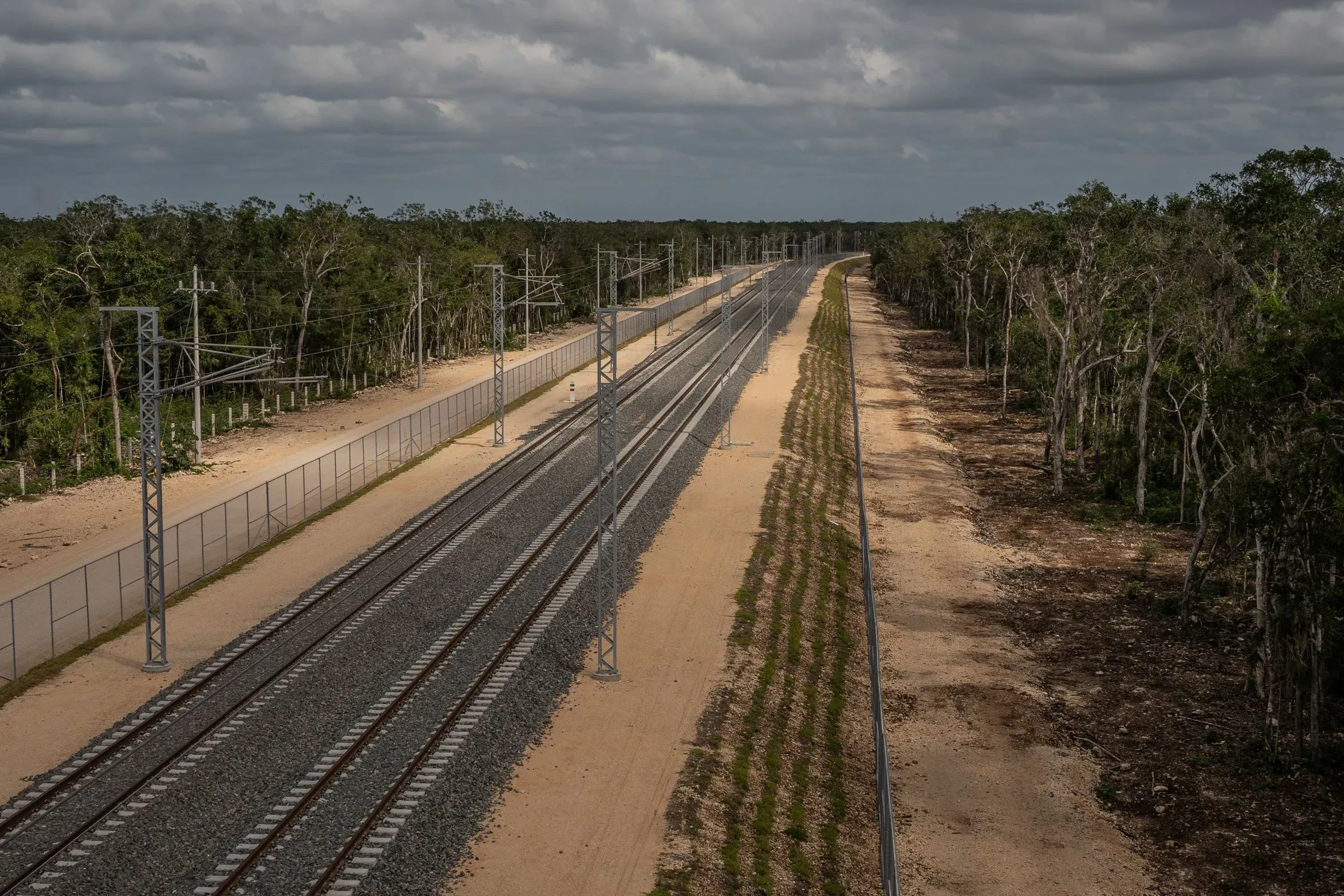خط سكة حديد يمتد عبر الغابات في تولوم، مع وجود سياج على الجانبين، يرمز إلى مشاريع النقل الجديدة في المنطقة.